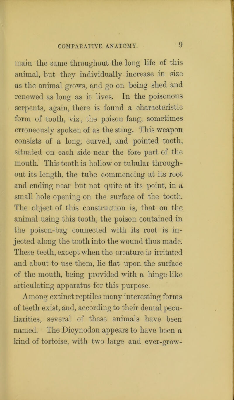 main the same throughout the long life of this animal, hut they individually increase in size as the animal grows, and go on being shed and renewed as long as it lives. In the poisonous serpents, again, there is found a characteristic form of tooth, viz., the poison fang, sometimes erroneously spoken of as the sting. This weapon consists of a long, curved, and pointed tooth, situated on each side near the fore part of the mouth. This tooth is hollow or tubular through- out its length, the tube commencing at its root and ending near but not quite at its point, in a small hole opening on the surface of the tooth. The object of this construction is, that on the animal using this tooth, the poison contained in the poison-hag connected with its root is in- jected along the tooth into the wound thus made. These teeth, except when the creature is irritated and about to use them, lie Hat upon the surface of the mouth, being provided with a hinge-like articulating apparatus for this purpose. Among extinct reptiles many interesting forms of teeth exist, and, according to their dental pecu- liarities, several of these animals have been named. The Dicynodon appears to have been a kind of tortoise, with two large and ever-grow-