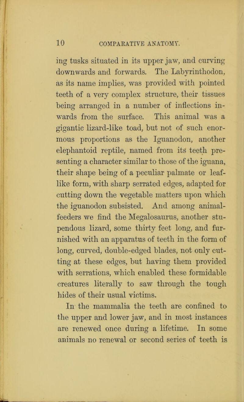 ing tusks situated in its upper jaw, and curving downwards and forwards. The Labyrinthodon, as its name implies, was provided with pointed teeth of a very complex structure, their tissues being arranged in a number of inflections in- wards from the surface. This animal was a gigantic lizard-like toad, but not of such enor- mous proportions as the Iguanodon, another elephantoid reptile, named from its teeth pre- senting a character similar to those of the iguana, their shape being of a peculiar palmate or leaf- like form, with sharp serrated edges, adapted for cutting down the vegetable matters upon which the iguanodon subsisted. And among animal- feeders we find the Megalosaurus, another stu- pendous lizard, some thirty feet long, and fur- nished with an apparatus of teeth in the form of long, curved, double-edged blades, not only cut- ting at these edges, but having them provided with serrations, which enabled these formidable creatures literally to saw through the tough hides of their usual victims. In the mammalia the teeth are confined to the upper and lower jaw, and in most instances are renewed once during a lifetime. In some animals no renewal or second series of teeth is