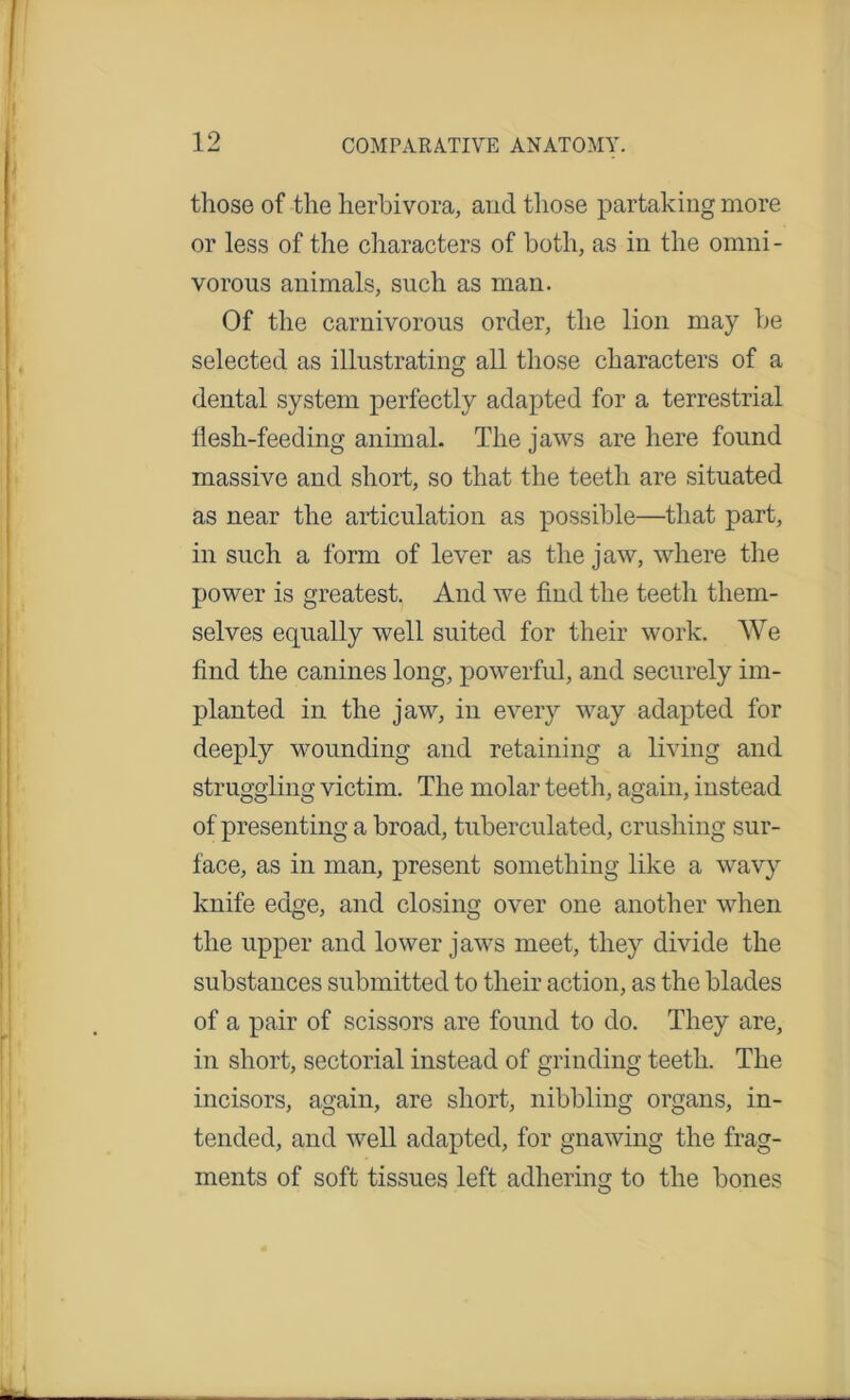 those of the herbivora, and those partaking more or less of the characters of both, as in the omni - vorous animals, such as man. Of the carnivorous order, the lion may be selected as illustrating all those characters of a dental system perfectly adapted for a terrestrial flesh-feeding animal. The jaws are here found massive and short, so that the teeth are situated as near the articulation as possible—that part, in such a form of lever as the jaw, where the power is greatest. And we find the teeth them- selves equally well suited for their work. We find the canines long, powerful, and securely im- planted in the jaw, in every way adapted for deeply wounding and retaining a living and struggling victim. The molar teeth, again, instead of presenting a broad, tuberculated, crushing sur- face, as in man, present something like a wavy knife edge, and closing over one another when the upper and lower jaws meet, they divide the substances submitted to their action, as the blades of a pair of scissors are found to do. They are, in short, sectorial instead of grinding teeth. The incisors, again, are short, nibbling organs, in- tended, and well adapted, for gnawing the frag- ments of soft tissues left adhering to the bones