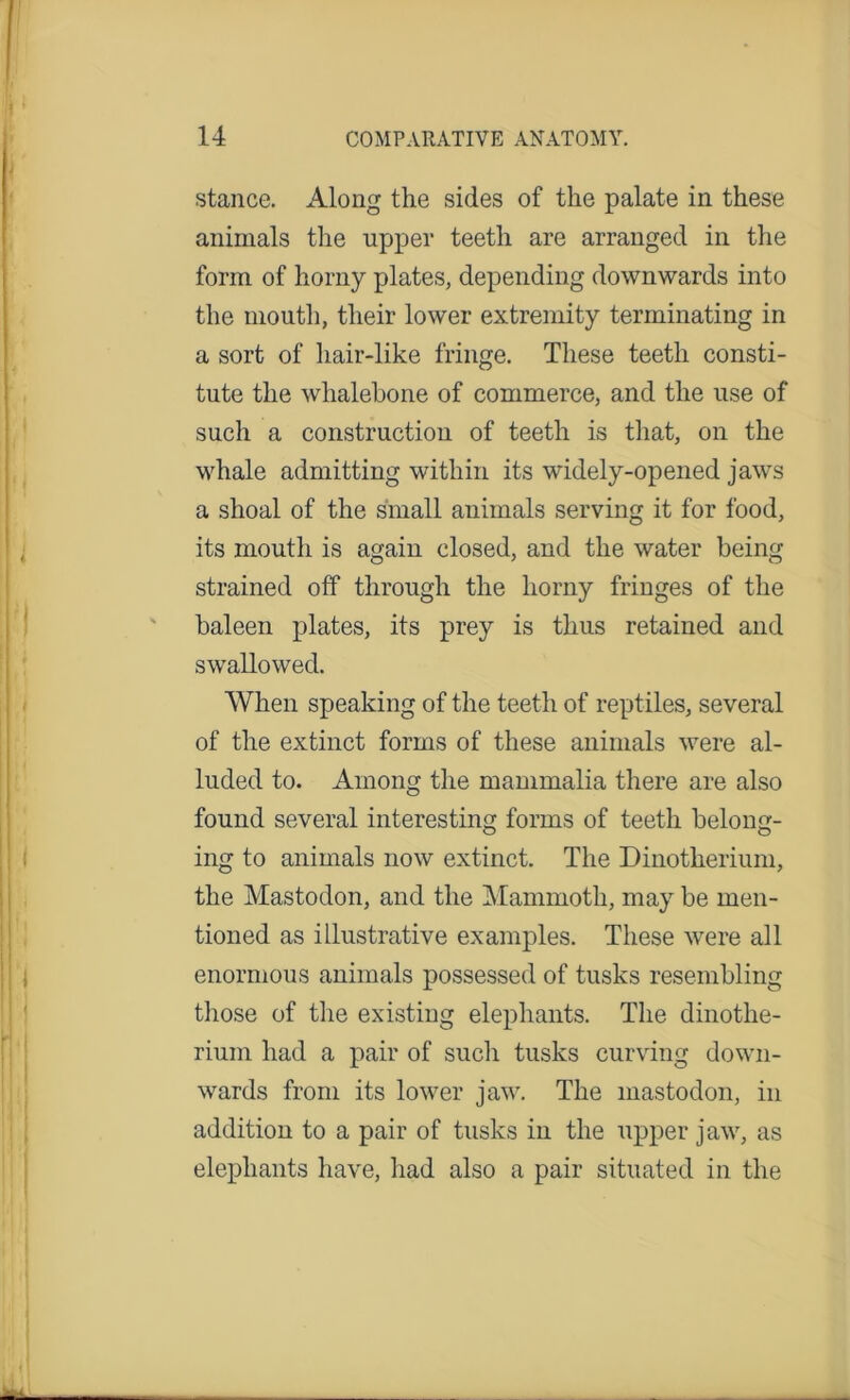 .stance. Along the sides of the palate in these animals the upper teeth are arranged in the form of homy plates, depending downwards into the mouth, their lower extremity terminating in a sort of liair-like fringe. These teeth consti- tute the whalebone of commerce, and the use of such a construction of teeth is that, on the whale admitting within its widely-opened jaws a shoal of the small animals serving it for food, its mouth is again closed, and the water being strained off through the homy fringes of the baleen plates, its prey is thus retained and swallowed. When speaking of the teeth of reptiles, several of the extinct forms of these animals were al- luded to. Among the mammalia there are also found several interesting forms of teeth belong- ing to animals now extinct. The Dinotherium, the Mastodon, and the Mammoth, may be men- tioned as illustrative examples. These were all enormous animals possessed of tusks resembling those of the existing elephants. The dinothe- rium had a pair of such tusks curving down- wards from its lower jaw. The mastodon, in addition to a pair of tusks in the upper jaw, as elephants have, had also a pair situated in the