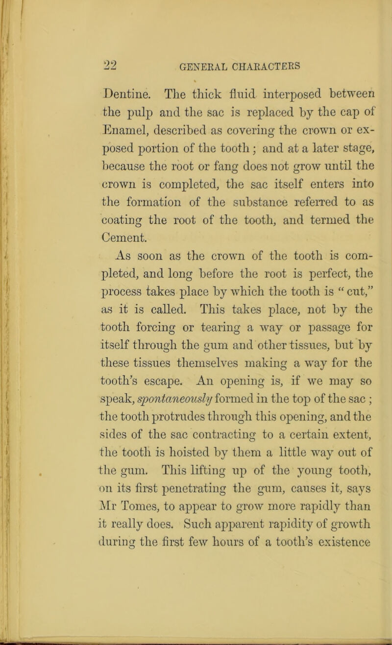 Dentine. The thick fluid interposed between the pulp and the sac is replaced by the cap of Enamel, described as covering the crown or ex- posed portion of the tooth; and at a later stage, because the root or fang does not grow until the crown is completed, the sac itself enters into the formation of the substance referred to as coating the root of the tooth, and termed the Cement. As soon as the crown of the tooth is com- pleted, and long before the root is perfect, the process takes place by which the tooth is “ cut,” as it is called. This takes place, not by the tooth forcing or tearing a way or passage for itself through the gum and other tissues, but by these tissues themselves making a way for the tooth’s escape. An opening is, if we may so speak, spontaneously formed in the top of the sac ; the tooth protrudes through this opening, and the sides of the sac contracting to a certain extent, the tooth is hoisted by them a little way out of the gum. This lifting up of the young tooth, on its first penetrating the gum, causes it, says Mr Tomes, to appear to grow more rapidly than it really does. Such apparent rapidity of growth during the first few hours of a tooth’s existence