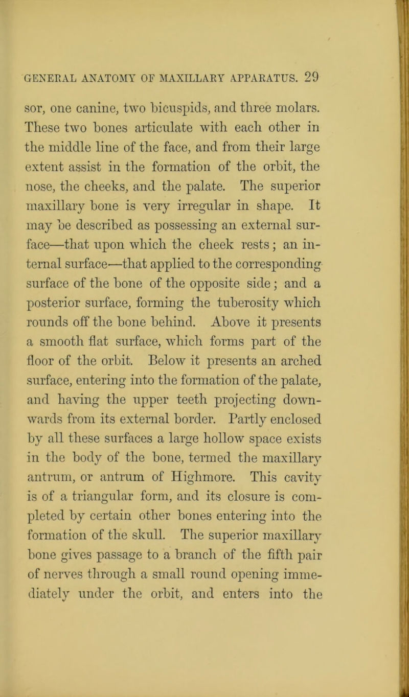 sor, one canine, two bicuspids, and three molars. These two bones articulate with each other in the middle line of the face, and from their large extent assist in the formation of the orbit, the nose, the cheeks, and the palate. The superior maxillary bone is very irregular in shape. It may be described as possessing an external sur- face—that upon which the cheek rests; an in- ternal surface—that applied to the corresponding surface of the bone of the opposite side; and a posterior surface, forming the tuberosity which rounds off the bone behind. Above it presents a smooth flat surface, which forms part of the floor of the orbit. Below it presents an arched surface, entering into the formation of the palate, and having the upper teeth projecting down- wards from its external border. Partly enclosed by all these surfaces a large hollow space exists in the body of the bone, termed the maxillary antrum, or antrum of Highmore. This cavity is of a triangular form, and its closure is com- pleted by certain other bones entering into the formation of the skull. The superior maxillary bone gives passage to a branch of the fifth pair of nerves through a small round opening imnie- diatelv under the orbit, and enters into the