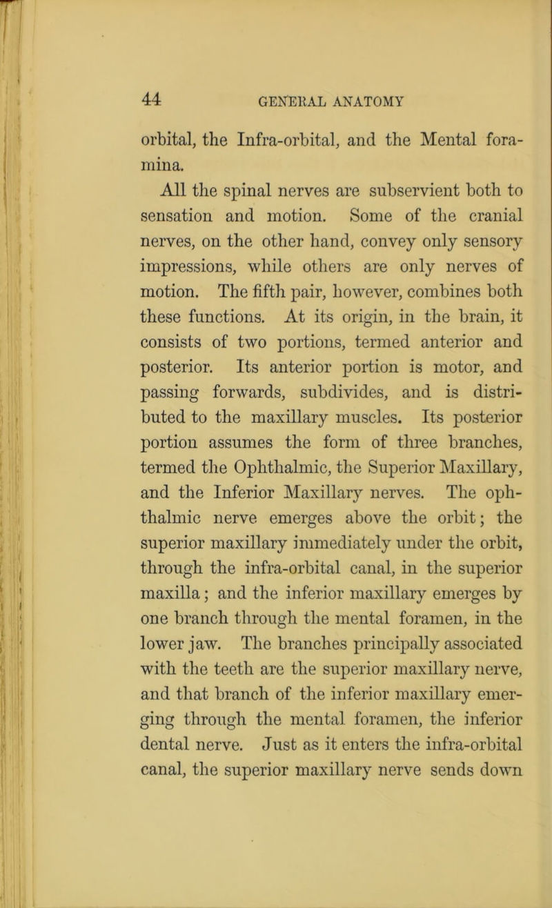 orbital, the Infra-orbital, and the Mental fora- mina. All the spinal nerves are subservient both to sensation and motion. Some of the cranial nerves, on the other hand, convey only sensory impressions, while others are only nerves of motion. The fifth pair, however, combines both these functions. At its origin, in the brain, it consists of two portions, termed anterior and posterior. Its anterior portion is motor, and passing forwards, subdivides, and is distri- buted to the maxillary muscles. Its posterior portion assumes the form of three branches, termed the Ophthalmic, the Superior Maxillary, and the Inferior Maxillary nerves. The oph- thalmic nerve emerges above the orbit; the superior maxillary immediately under the orbit, through the infra-orbital canal, in the superior maxilla; and the inferior maxillary emerges by one branch through the mental foramen, in the lower jaw. The branches principally associated with the teeth are the superior maxillary nerve, and that branch of the inferior maxillary emer- ging through the mental foramen, the inferior dental nerve. Just as it enters the infra-orbital canal, the superior maxillary nerve sends down
