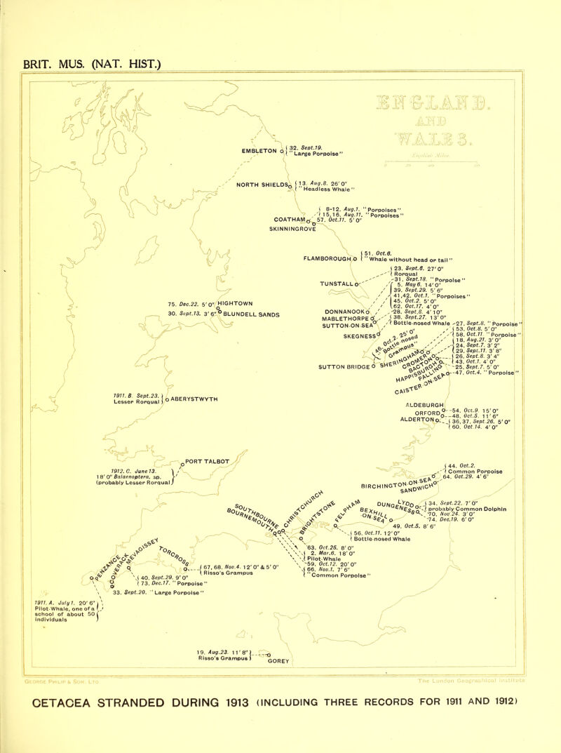 BRIT. MUS. (NAT. HIST.) \ NORTH SHIELDS,. H ,3- Aug.8. 26'0 ? l Headless Whale ” w W .P Mil & IA HB *. Seat.19. Large Porpoise1 III 11, s. j 8-1 2. 4«2-7. “ Porpoises ” ? (1 5,16. Aug.11. “Porpoises’ COATHAMtf 57. 0ct.11. 5'0 SKINNINGROVE x y/is 30. gept. 13. 3'^? BLUNDELL SANDS 7077. 6. Sept.23. ] nABERYSTWYTH Lesser Rorqual j O ABERYSTWYTH 51. Oct.6. FLAMBOROUGH^O ! “ Whale without head or tail ” I 23. Sept.g. 27' O'' Rorqual ,31. Sept. 18. “Porpoise” TUNSTALL6'' /( 5. May 6. 14'0 ] 39. Sept.29. 5' 6 41.42. Oct.l. “Porpoises” 45. Oct.2. 5' 0 162. Oct.17. 4'O'' DONNANOOKo / ,'28. Sept.8. 4' 10 MABLETHORPEC®,'' i f8- Sept.27. 13'0 SUTTON ON SEA0^ / ( Bottle nosed Whale ,27. Sept.8. “ Porpoise' V p.i» / ( 53. Oct.8. 5' 0 ?|J „ 58. 0ct.11. “ Porpoise ” (18. Aug.21. 3' O'' [ pa , , A 24. Sept.7. 3' 2 e-f*' ''' (29. Sept.ll. 3' 8 | S. - j 26. Sept.g. 3' 4 <=W0^<Op O.. i 43. Oct.l. 4' 0 SHE c^tvG\o.G\& - '25. Sept.7. 5' 0” 0ct-4- ‘‘PoppoiT CA'S^£ ALDEBURGH; ORFORD^ 84< 1 5' 0 0--48. Oet.5. 11'6 ALDERTONpi, j 36,37. Sept.26. 5'0 SKEGNESS'- SUTTON BRIDGE O T : 60. Oct.14. 4’ 0 2 1912. G. June 13. 18' O'' Balaenoptera, sp. > (probably Lesser Rorqual J QPORT TALBOT ( 44. Oct.2. ,-'1 Common Porpoise 64. Oct.29. 4'6 PtPT e b,rchington^£cV' ^ DUNGAy°On A 34- SePt-22. T 0 BE*.. n1 Probably Common Dolphin C>'S<V'70. ^<7 24. 3' 0  ' '74. flee. 70. 6'0 49. Oct.5. 8'6 ; 56. Oct.11. 1 2' 0 : Bottle-nosed Whale r°*r l Risso’s Grampus O \( 40. Sept. 29. 9' 0 3 ( 73. Dec.17. “ Porpoise ” 33. Sept.20. “ Large Porpoise” '63. Oct.25. 8' 0 I 2. War.S. 1 8' 0 l Pilot-Whale '59. Oct. 72. 20'0 i 66. TVoe.7. 7' 6 ! “ Common Porpoise ’ 7077.4. </m/j7. 20'6 Pilot-Whale, one of a school of about 50 Individuals 19. Aug.23. 11'8) Risso’s Grampus)