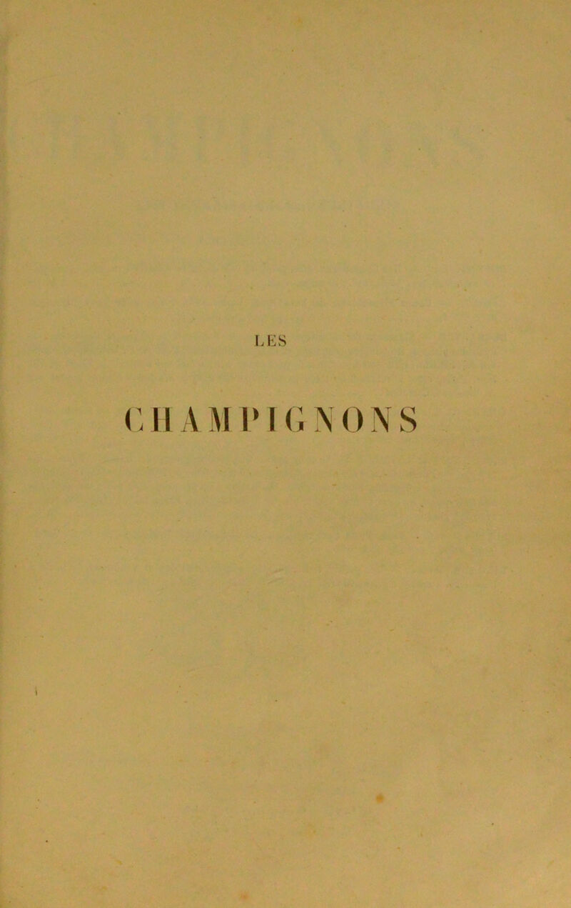 UiS (Ml AM P K; N ON S