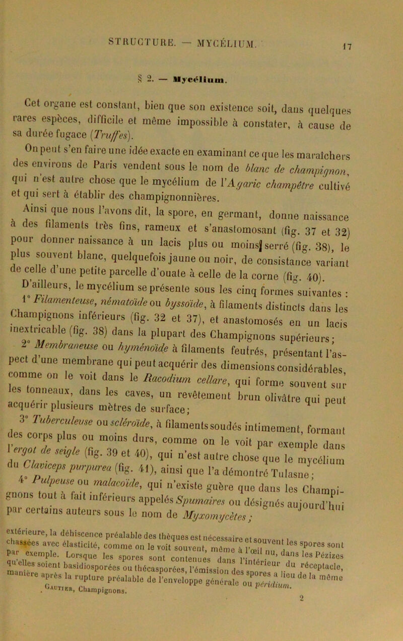 STRÜGTUIIü:. — MYCKLIIJM. 17 S 2. — llyc4^liiiin. Cet organe est constant, bien que son existence soit, dans quelques rares espèces, difficile et même impossible à constater, h cause de sa durée fugace {l'ntffes). On peut s’en faire une idée exacte eu examinant ce que les maraîchers des environs de Paris vendent sous le nom de Manc de champignon qui n'est autre chose que le mycélium de \Agaric champêtre cultivé et qui sert à établir des champignonnières. Ainsi que nous l’avons dit, la spore, en germant, donne naissance â des tilaments très fins, rameux et s’anastomosant (fig. 37 et 32) pour donner naissance à un lacis plus ou moinsj serré (fio- 38) le plus souvent blanc, quelquefois jaune on noir, de consistance variant de celle d une petite parcelle d'ouate à celle de la corne (fig. 40). DJailleurs, le mycélium se présente sous les cinq forines'’suivantes • 1 Filamenteme, ,ximatoide on hgssolde, à lilainents distincts dans les Champignons inférieurs (fig. 32 et 37), et anastomosés en un lacis '?• supérieurs; 2 Meméraneuse ou hgménoide h RUmeals feutrés, présentant l’as- pect d une membrane qui peut acquérir des dimensions considérables comme on le voit dans le /iacodiam cellare, qui forme souvent sur es tonneau.x, dans les caves, un revêteineiit brun olivâtre qui peut acquérir plusieurs mètres de surface; ^ 3- î’^Wmaousc/érui^^^ des corps plus ou moins durs, comme on le voit par exemple dans ^^00 de sngte (fig. 39 et 40). qui n’est autre chose que le m'céhun Auaamceps purpurea (fig. 41), ainsi que l’a démontré ïnlasne ^ I I ulpeme eu malacoule, qui n’existe guère que dans les Chamni- e ns tout a lait inférieurs appelésou désignés aujourd’hui pai certains auteurs sous le nom de Myxomycètes; extérieure, la déhiscence préalable des Ihèques est nécessaire et i, cliasaées avec élasticité, 'comme on le voit souVenrmômTà exemple. Lorsque les spores sont conlerues dans 1’^ quelles soient basidiosporées ou thécasporées l’émissîm i du réceptacle, -..rc spr.3 tv ruZe -- . f-AüTiEn, Champignons. ^ ’ 2