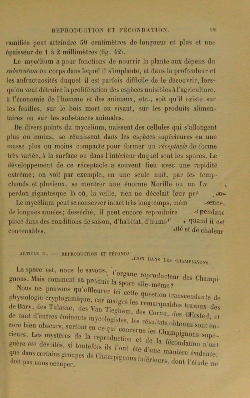 KEPHODUGTION KT FECONDATION. t!) ramifiée peut atteindre 50 centimètres de longueur et plus et une épaisseur de 1 cà 2 millimètres (lig. 42). Le mycélium a pour fonctions de nourrir la plante aux dépens du substratum ou corps dans lequel il s’implante, et dans la profondeur et les anfractuosités duquel il est parfois difficile de le découvrir, lors- qu’on veut détruire la prolifération des espèces nuisibles à l’agriculture, à l’économie de l’homme et des animaux, etc., soit qu’il existe sur les feuilles, sur le bois mort ou vivant, sur les produits alimen- taires ou sur les substances animales. De divers points du mycélium, naissent des cellules qui s'allongent plus ou moins, se réunissent dans les espèces supérieures en une masse plus ou moins compacte pour former uu réceptacle de forme très variée, à la surface ou dans l’intérieur duquel sont les spores. Le développement de ce réceptacle a souvent lieu avec une rapidité extrême; on voit par exemple, en une seule nuit, par les temp' chauds et pluvieux, se montrer une énorme Morille ou un Lv perdon gigantesque là où, la veille, rien ne décelait leur pré Le mycélium peut se conserver intact très longtemps, mêm ./Sence. de longues années; desséché, il peut encore reproduire pendant placé dans des conditions de saison, d’habitat, d’humid' ■* <iuand il est convenables. de chaleur AllTICLE II. — REPIIODUCTION lii ■‘■'O-'» ans lus CUAMI'IMONS. La spore est, nous le savons, Vn,.... gnons. Mais comment sa proàm't la sporTeîîrmôméT'' Nous ne pouvons qu’effieurer iVî nc.n . physiologie cryplogamique, car malgré le! rema’ de liary, des Tulasne, des Van Tierhem 1^ r ’ de tant d’antres éminents mycolo^ism ’le . core bien obscurs, surtout en ce oui m obtenus sont en- Heu.. Les mystères de la «cr7de^^^ guere été dévoilés, si toutefois ils l’ont été rV n’ont que dans certains groupes de Champi^ions infé^ ‘évidente, doit pas nous occuper. ° *Guis, dont l’étude ne