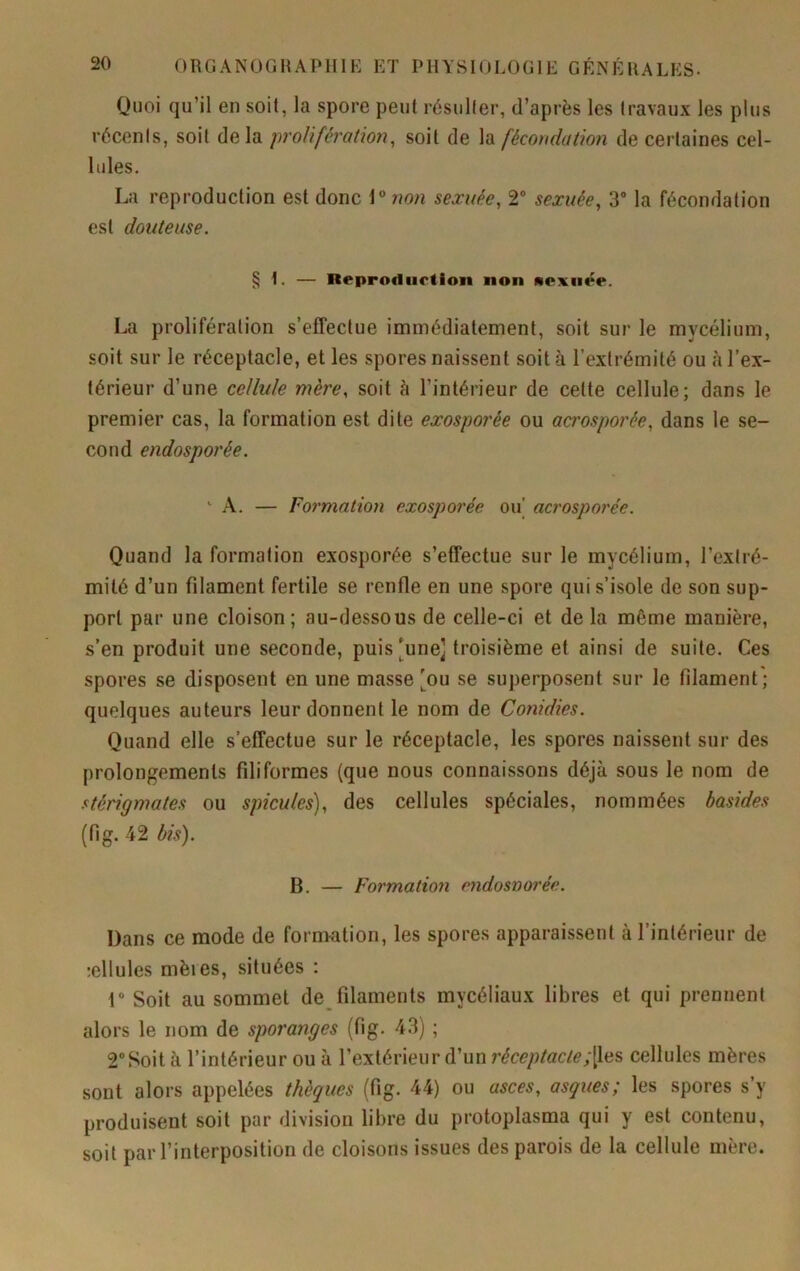 Quoi qu’il en soit, la spore peut résulter, d’après les travaux les plus récents, soit delà prolifération, soit de \d. fécondation de certaines cel- lules. La reproduction est donc \ ° non sexuée, 2* sexuée, 3* la fécondation est douteuse. § 1. — Reproflurtion non noxiiée. La prolifération s’effectue immédiatement, soit sur le mycélium, soit sur le réceptacle, et les spores naissent soit à l’extrémité ou h l’ex- térieur d’une cellule mère, soit à l’intérieur de cette cellule; dans le premier cas, la formation est dite exosporée ou acrosporée, dans le se- cond endosporée. '■ A. — Formation exosporée ou' acrosporée. Quand la formation exosporée s’effectue sur le mycélium, l’extré- mité d’un filament fertile se renfle en une spore qui s’isole de son sup- port par une cloison; au-dessous de celle-ci et de la même manière, s’en produit une seconde, puis [une] troisième et ainsi de suite. Ces spores se disposent en une masse [ou se superposent sur le filament'; quelques auteurs leur donnent le nom de Conidies. Quand elle s’effectue sur le réceptacle, les spores naissent sur des prolongements filiformes (que nous connaissons déjà sous le nom de stérigmates ou spiculés), des cellules spéciales, nommées basides (fig. 42 bis). B. — Formation endosnorée. Dans ce mode de formation, les spores apparaissent à l’intérieur de ;ellules mères, situées : r Soit au sommet de_ filaments mycéliaux libres et qui prennent alors le nom de sporanges (fig. 43) ; 2*Soit à l’intérieur ou à l’extérieur d’un réceptaclecellules mères sont alors appelées thèqucs (fig. 44) ou asces, asques; les spores s’y produisent soit par division libre du protoplasma qui y est contenu, soit par l’interposition de cloisons issues des parois de la cellule mère.