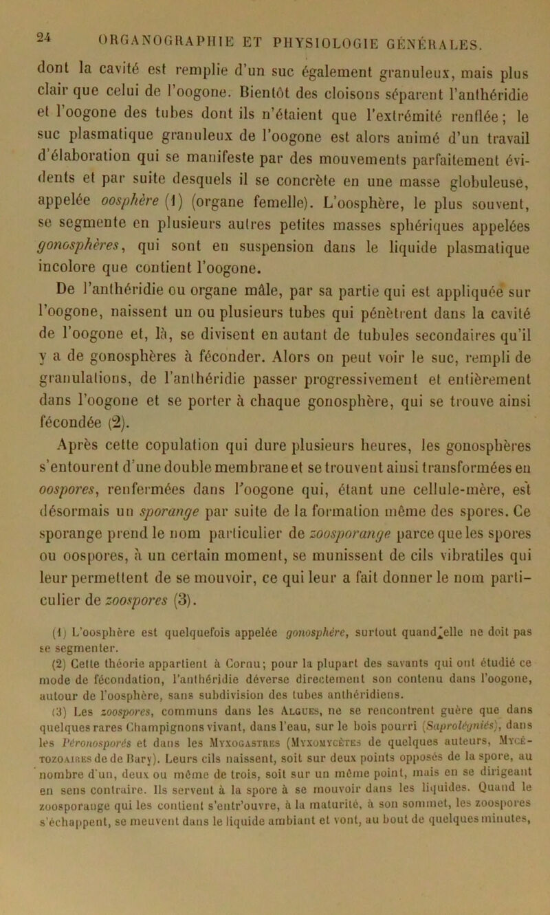 dont la cavité est remplie d’un suc également granuleux, mais plus clair que celui de 1 oogone. Bientôt des cloisons séparent l’anthéridie et 1 oogone des tubes dont ils n’étaient que l’extrémité renflée ; le suc plasmatique granuleux de l’oogone est alors animé d’un travail d élaboration qui se manifeste par des mouvements parfaitement évi- dents et par suite desquels il se concrète en une masse globuleuse, appelée oosphère (1) (organe femelle). L’oosphère, le plus souvent, se segmente en plusieurs autres petites masses sphériques appelées gonosphèî'es, qui sont en suspension dans le liquide plasmatique incolore que contient l’oogone. De l’anthéridie ou organe mâle, par sa partie qui est appliquée sur l’oogone, naissent un ou plusieurs tubes qui pénètrent dans la cavité de l’oogone et, là, se divisent en autant de tabules secondaires qu’il y a de gonosphères à féconder. Alors on peut voir le suc, rempli de granulations, de l’anthéridie passer progressivement et entièrement dans l’oogone et se porter à chaque gonosphère, qui se trouve ainsi fécondée (2). Après cette copulation qui dure plusieurs heures, les gonosphères s’entourent d’une double membrane et se trouvent ainsi transformées en oospores, renfermées dans Toogone qui, étant une cellule-mère, est désormais un sporange par suite de la formation môme des spores. Ce sporange prend le nom particulier de zoosporange parce que les spores ou oospores, à un certain moment, se munissent de cils vibratiles qui leur permettent de se mouvoir, ce qui leur a fait donner le nom parti- culier de zoospores (3). (1) L’oosphère est quelquefois appelée gonosphère, surtout quand^elle ne doit pas se segmenter. (2) Cette théorie appartient à Cornu; pour la plupart des savants qui ont étudié ce mode de fécondation, l’anlhéridie déverse directement son contenu dans l’oogone, autour de l’oosphère, sans subdivision des tubes anthéridieus. (3) Les zoospores, communs dans les Algues, ne se rencontrent guère que dans quelques rares Champignons vivant, dans l’eau, sur le bois pourri [Saproh'gniés), dans les Péronosporés et dans les My-XOGAStres (.Myxomycètes de quelques auteurs, .Mycé- TozOAiREsdede Rary). Leurs cils naissent, soit sur deux points opposés de la spore, au nombre d’un, deux ou même de trois, soit sur un môme point, mais en se dirigeant en sens contraire. Ils servent à la spore à se mouvoir dans les liquides. Quand le züosporaiige qui les contient s’entr’ouvre, à la maturité, à son sommet, les zoospores s’échappent, se meuvent dans le liquide ambiant et vont, au bout de quelques minutes.