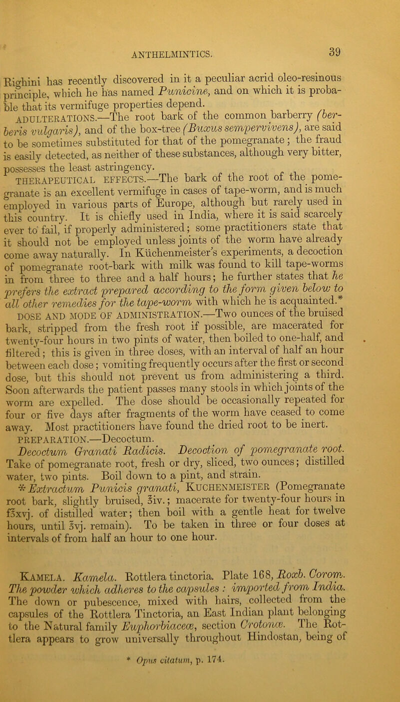 Rio-hini has recently discovered in it a peculiar acrid oleo-resinous principle, which he has named Punicine, and on which it is proba- ble that its vermifuge properties depend. ADULTERATIONS.—The root bark of the common barberry fOer- bens vulgaris), and of the box-tree (Buxussempervivens), are said to be sometimes substituted for that of the pomegranate; the fraud is easily detected, as neither of these substances, although very bitter, possesses the least astringency. THERAPEUTICAL EFFECTS.—The bark of the root of the pome- granate IS an excellent vermifuge in cases of tape-worm, and is much employed in various parts of Europe, although but rarely used in this country. It is chiefly used in India, where it is said scarcely ever to fail, if properly administered; some practitioners state that it should not be employed unless joints of the worm have already come away naturally. In Klichenmeister s experiments, a decoction of pomegranate root-bark with milk was found to kill tape-worms in from three to three and a half hours; he further states that he 'prefers the extract prepared according to the form given below to all other remedies for the tape-worm with which he is acquainted.^ DOSE AND MODE OF ADMINISTRATION.—Two ounces of the bruised bark, stripped from the fresh root if possible, are macerated for twenty-four hours in two pints of water, then boiled to one-half, and Altered; this is given in three doses, with an interval of half an hour between each dose; vomiting frequently occurs after the first or second dose, but this should not prevent us from administering a third. Soon afterwards the patient passes many stools in which joints of the worm are expelled. The dose should be occasionally repeated for four or five days after fragments of the worm have ceased to come away. Most practitioners have found the dried root to be inert. PREPARATION.—Decoctum. Decoctum Granati Radicis. Decoction of pomegranate root. Take of pomegranate root, fresh or dry, sliced, two ounces; distilled water, tw'o pints. Boil down to a pint, and strain. ^Extractum Punicis granati, Kuchenmeister (Pomegranate root bark, slightly bruised, §iv.; macerate for twenty-four hours in foxvj. of distilled water; then boil with a gentle heat for twelve hours, until 5vj. remain). To be taken in three or four doses at intervals of from half an hour to one hour. Kamel A. Kamela. Rottlera tinctoria. Plate 168, (7orom. The powder which adheres to the capsules : imported from India. The down or pubescence, mixed with hairs, collected from the capsules of the Rottlera Tinctoria, an East Indian plant belonging to the Natural family Euphorbiacece, section Grotonoi. The Rot- tlera appears to grow universally throughout Hindostan, being of * Opun citatum, p. 174.