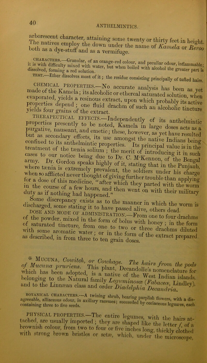 anthelmintics. arborescent character, attaining .some twenty or tliirty feet in height TOT.-Ether delves most of it; the residue consisting principaUy of tolled haim buffs'''**’ emetic; these, however, as yet have resulted of the powder mixed ^ one to four drachms of satuS tinclure from on?to t“^ '”1^ f°™ with some aromatic water; or in th^form of the diluted as described, in from three to ten grain doSs^ ® * Mucuna, Cowitch, or Cowhanp The ^±11 of Mucuna 'pruriens. This plant^DeoandnH ^ f'rom the po^^ which has bien adopted, is t‘' belonging to the Natural family Lequminosce and to the Lmmeaii class and order Biailelpkia DecandHa!^ ’ agreeable, alliaceous odour, in axillar™raMS-'^suS'e^ flowere, with a di containing three to live seeds. ’ ““““ by con.iccons legumes, ea. PHYSICAL PROPEMIES.-pie entire legumes, with the hai.-s at- tached, are usually imported ; they are shaped like the letter /-'of a brownish colour, from two to four or five inches long tliickiriothed with .strong brown bristles or .sefre, which, undeiM.lle micr dis- eacli