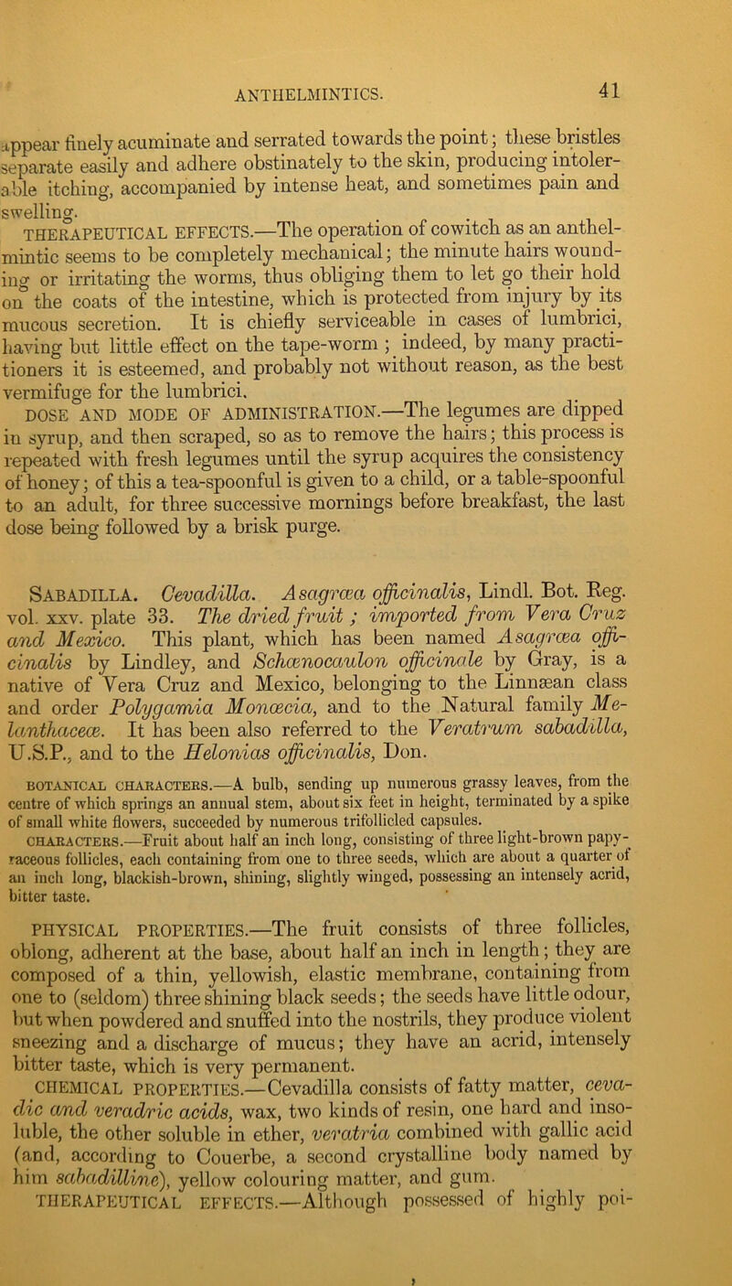 ^pp0a,r fin6ly cicumincite and S6rrat6d towards tlio point 5 tliGSG bristlGs separate easily and adhere obstinately to the skin, producing intoler- able itching, accompanied by intense heat, and sometimes pain and swelling. ■ n • 1 THERAPEUTICAL EFFECTS.—The operation of cowitch as an anthel- mintic seems to be completely mechanical j the minute hairs wound- ing or irritating the worms, thus obliging them to let go their hold on the coats of the intestine, which is protected from injury by its mucous secretion. It is chiefly serviceable in cases of lumbrici, liaving but little effect on the tape-worm indeed, by many practi- tioners it is esteemed, and probably not without reason, as the best vermifuge for the lumbrici. DOSE AND MODE OF ADMINISTRATION.—The lepmes are dipped in syrup, and then scraped, so as to remove the hairs; this process is repeated with fresh legumes until the syrup acquires the consistency of honey; of this a tea-spoonful is given to a child, or a table-spoonful to an adult, for three successive mornings before breakfast, the last dose being followed by a brisk purge. Sabadilla. Gevadilla. Asagrcea officinalis, Lindl. Bot. Beg. vol. XXV. plate 33. The dried fruit ; imported from Vera Cruz and Mexico. This plant, which has been named Asagreea offi- cinalis by Bindley, and Schoenocaulon officinale by Gray, is a native of Vera Cruz and Mexico, belonging to the Linnsean class and order Polygamia Monoecia, and to the Natural family Me- lamthacece. It has been also referred to the Veratrum sabadilla, U.S.P., and to the Helonias officinalis, Don. BOTANICAL CHARACTEES.—A bulb, sending up numerous grassy leaves, from the centre of which springs an annual stem, about six feet in height, terminated by a spike of small white flowers, succeeded by numerous trifollicled capsules. CHARACTERS.—Fruit about half an inch long, consisting of three light-brown papy- raceous follicles, each containing from one to three seeds, which are about a quarter ot an inch long, blackish-brown, shining, slightly winged, possessing an intensely acrid, bitter taste. PHYSICAL PROPERTIES.—The fruit consists of three follicles, oblong, adherent at the base, about half an inch in length; they are composed of a thin, yellowish, elastic membrane, containing from one to (seldom) three shining black seeds; the seeds have little odour, but when powdered and snuffed into the nostrils, they produce violent sneezing and a discharge of mucus; they have an acrid, intensely bitter taste, which is very permanent. CHEMICAL PROPERTIES.—Cevadilla consists of fatty matter, ceva- dic a/nd veradric acids, wax, two kinds of resin, one hard and inso- luble, the other soluble in ether, veratria combined with gallic acid (and, according to Couerbe, a second crystalline body named by him sahadilline), yellow colouring matter, and gum. THERAPEUTICAL EFFECTS.—Although possessed of highly poi-
