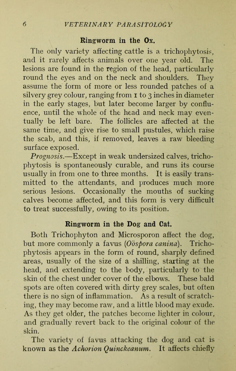 Ringworm in the Ox. The only variety affecting cattle is a trichophytosis, and it rarely affects animals over one year old. The lesions are found in the region of the head, particularly round the eyes and on the neck and shoulders. They assume the form of more or less rounded patches of a silvery grey colour, ranging from i to 3 inches in diameter in the early stages, but later become larger by conflu- ence, until the whole of the head and neck may even- tually be left bare. The follicles are affected at the same time, and give rise to small pustules, which raise the scab, and this, if removed, leaves a raw bleeding surface exposed. Prognosis.—Except in weak undersized calves, tricho- phytosis is spontaneously curable, and runs its course usually in from one to three months. It is easify trans- mitted to the attendants, and produces much more serious lesions. Occasionally the mouths of sucking calves become affected, and this form is very difficult to treat successfully, owing to its position. Ringworm in the Dog and Cat. Both Trichophyton and Microsporon affect the dog, but more commonly a favus {Oospora canina). Tricho- phytosis appears in the form of round, sharply defined areas, usually of the size of a shilling, starting at the head, and extending to the body, particularly to the skin of the chest under cover of the elbows. These bald spots are often covered with dirty grey scales, but often there is no sign of inflammation. As a result of scratch- ing, they may become raw, and a little blood may exude. As they get older, the patches become lighter in colour, and gradually revert back to the original colour of the skin. The variety of favus attacking the dog and cat is known as the Achorion Quinckeanum. It affects chiefly