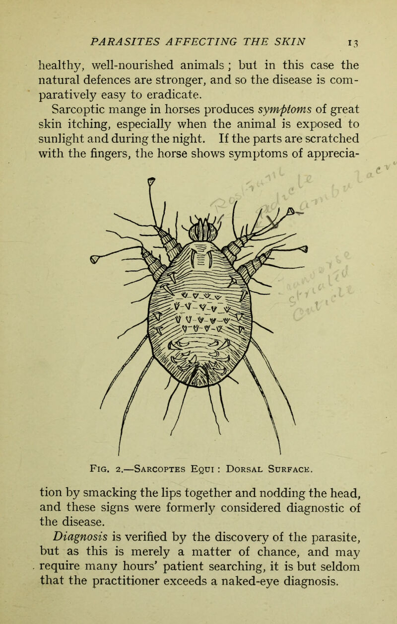 healthy, well-nourished animals ; but in this case the natural defences are stronger, and so the disease is com- paratively easy to eradicate. Sarcoptic mange in horses produces symptoms of great skin itching, especially when the animal is exposed to sunlight and during the night. If the parts are scratched with the fingers, the horse shows symptoms of apprecia- Fig. 2.—Sarcoptes Equi : Dorsal Surface. tion by smacking the lips together and nodding the head, and these signs were formerly considered diagnostic of the disease. Diagnosis is verified by the discovery of the parasite, but as this is merely a matter of chance, and may require many hours’ patient searching, it is but seldom that the practitioner exceeds a naked-eye diagnosis.