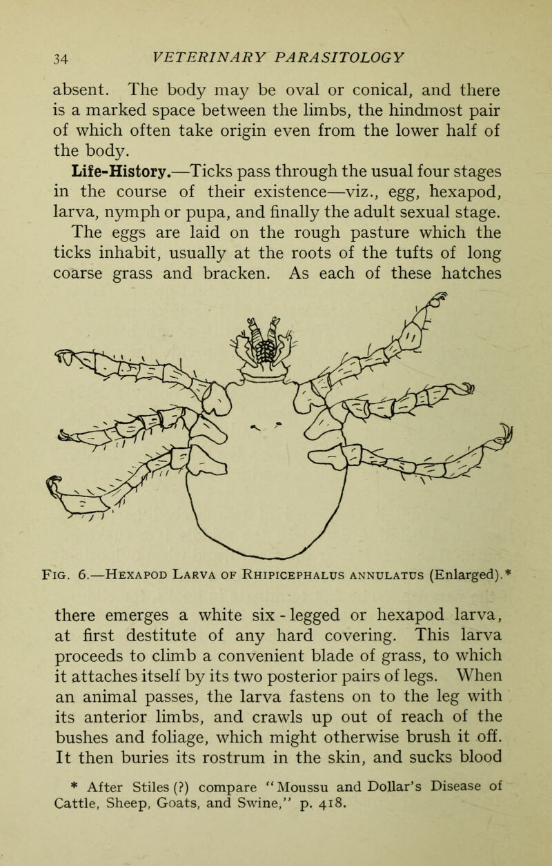 absent. The body may be oval or conical, and there is a marked space between the limbs, the hindmost pair of which often take origin even from the lower half of the body. Life-History.—Ticks pass through the usual four stages in the course of their existence—viz., egg, hexapod, larva, nymph or pupa, and finally the adult sexual stage. The eggs are laid on the rough pasture which the ticks inhabit, usually at the roots of the tufts of long coarse grass and bracken. As each of these hatches there emerges a white six - legged or hexapod larva, at first destitute of any hard covering. This larva proceeds to climb a convenient blade of grass, to which it attaches itself by its two posterior pairs of legs. When an animal passes, the larva fastens on to the leg with its anterior limbs, and crawls up out of reach of the bushes and foliage, which might otherwise brush it off. It then buries its rostrum in the skin, and sucks blood * After Stiles (?) compare “Moussu and Dollar’s Disease of Cattle, Sheep, Goats, and Swine,” p. 418.