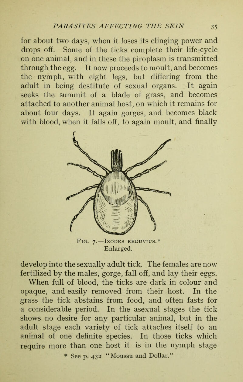 for about two days, when it loses its clinging power and drops off. Some of the ticks complete their life-cycle on one animal, and in these the piroplasm is transmitted through the egg. It now proceeds to moult, and becomes the nymph, with eight legs, but differing from the adult in being destitute of sexual organs. It again seeks the summit of a blade of grass, and becomes attached to another animal host, on which it remains for about four days. It again gorges, and becomes black with blood, when it falls off, to again moult, and finally Fig. 7.—Ixodes reduvius.* Enlarged. develop into the sexually adult tick. The females are now fertilized by the males, gorge, fall off, and lay their eggs. When full of blood, the ticks are dark in colour and opaque, and easily removed from their host. In the grass the tick abstains from food, and often fasts for a considerable period. In the asexual stages the tick shows no desire for any particular animal, but in the adult stage each variety of tick attaches itself to an animal of one definite species. In those ticks which require more than one host it is in the nymph stage * See p. 432 “Moussu and Dollar.”