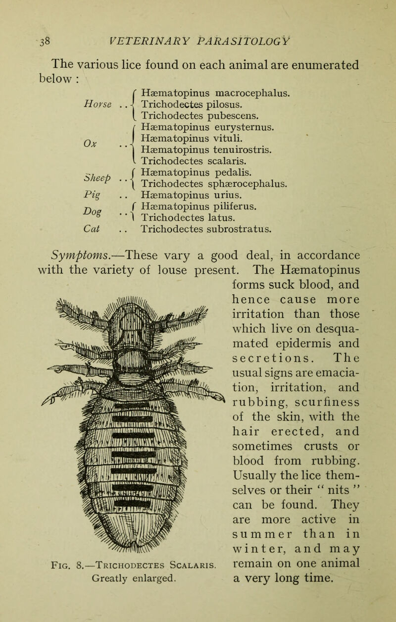 The various lice found on each animal are enumerated below : Horse Ox Sheep Pig Dog Cat Haematopinus macrocephalus. Trichodectes pilosus. Trichodectes pubescens. Haematopinus eurysternus. Haematopinus vituli. Haematopinus tenuirostris. Trichodectes scalaris. Haematopinus pedalis. Trichodectes sphaerocephalus. Haematopinus urius. f Haematopinus piliferus. ' ‘ 1 Trichodectes latus. Trichodectes subrostratus. Symptoms.—These vary a good deal, in accordance with the variety of louse present. The Haematopinus forms suck blood, and hence cause more irritation than those which live on desqua- mated epidermis and secretions. The usual signs are emacia- tion, irritation, and rubbing, scurfiness of the skin, with the hair erected, and sometimes crusts or blood from rubbing. Usually the lice them- selves or their “ nits ” can be found. They are more active in summer than in winter, and may remain on one animal Fig. 8.—Trichodectes Scalaris.