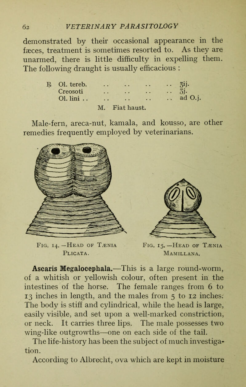 demonstrated by their occasional appearance in the faeces, treatment is sometimes resorted to. As they are unarmed, there is little difficulty in expelling them. The following draught is usually efficacious : I* Ol. tereb. . . . . .. •. §ij. Creosoti . . . . •. 3j- Ol. lini ad O.j. M. Fiat haust. Male-fern, areca-nut, kamala, and kousso, are other remedies frequently employed by veterinarians. Fig. 14. —Head of T^nia Plicata. Fig. 15.—Head of T^nia Mamillana. Ascaris Megalocephala.—This is a large round-worm, of a whitish or yellowish colour, often present in the intestines of the horse. The female ranges from 6 to 13 inches in length, and the males from 5 to 12 inches: The body is stiff and cylindrical, while the head is large, easily visible, and set upon a well-marked constriction, or neck. It carries three lips. The male possesses two wing-like outgrowths—one on each side of the tail. The life-history has been the subject of much investiga- tion. According to Albrecht, ova which are kept in moisture