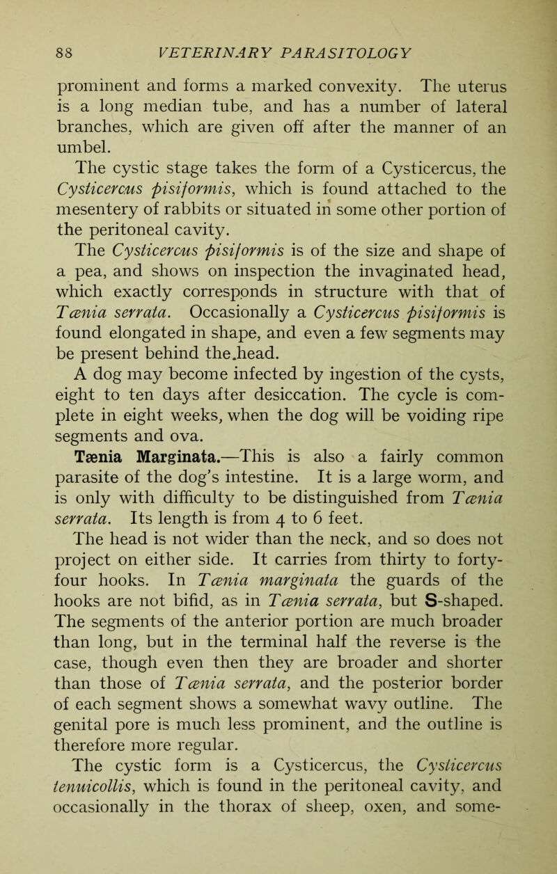 prominent and forms a marked convexity. The uterus is a long median tube, and has a number of lateral branches, which are given off after the manner of an umbel. The cystic stage takes the form of a Cysticercus, the Cysticercus pisiformis, which is found attached to the mesentery of rabbits or situated in some other portion of the peritoneal cavity. The Cysticercus pisiformis is of the size and shape of a pea, and shows on inspection the invaginated head, which exactly corresponds in structure with that of Tcenia serrata. Occasionally a Cysticercus pisiformis is found elongated in shape, and even a few segments may be present behind the .head. A dog may become infected by ingestion of the cysts, eight to ten days after desiccation. The cycle is com- plete in eight weeks, when the dog will be voiding ripe segments and ova. Tsenia Marginata.—This is also a fairly common parasite of the dog’s intestine. It is a large worm, and is only with difficulty to be distinguished from Tcenia serrata. Its length is from 4 to 6 feet. The head is not wider than the neck, and so does not project on either side. It carries from thirty to forty- four hooks. In Tcenia marginata the guards of the hooks are not bifid, as in Tcenia serrata, but S-shaped. The segments of the anterior portion are much broader than long, but in the terminal half the reverse is the case, though even then they are broader and shorter than those of Tcenia serrata, and the posterior border of each segment shows a somewhat wavy outline. The genital pore is much less prominent, and the outline is therefore more regular. The cystic form is a Cysticercus, the Cysticercus tenuicollis, which is found in the peritoneal cavity, and occasionally in the thorax of sheep, oxen, and some-
