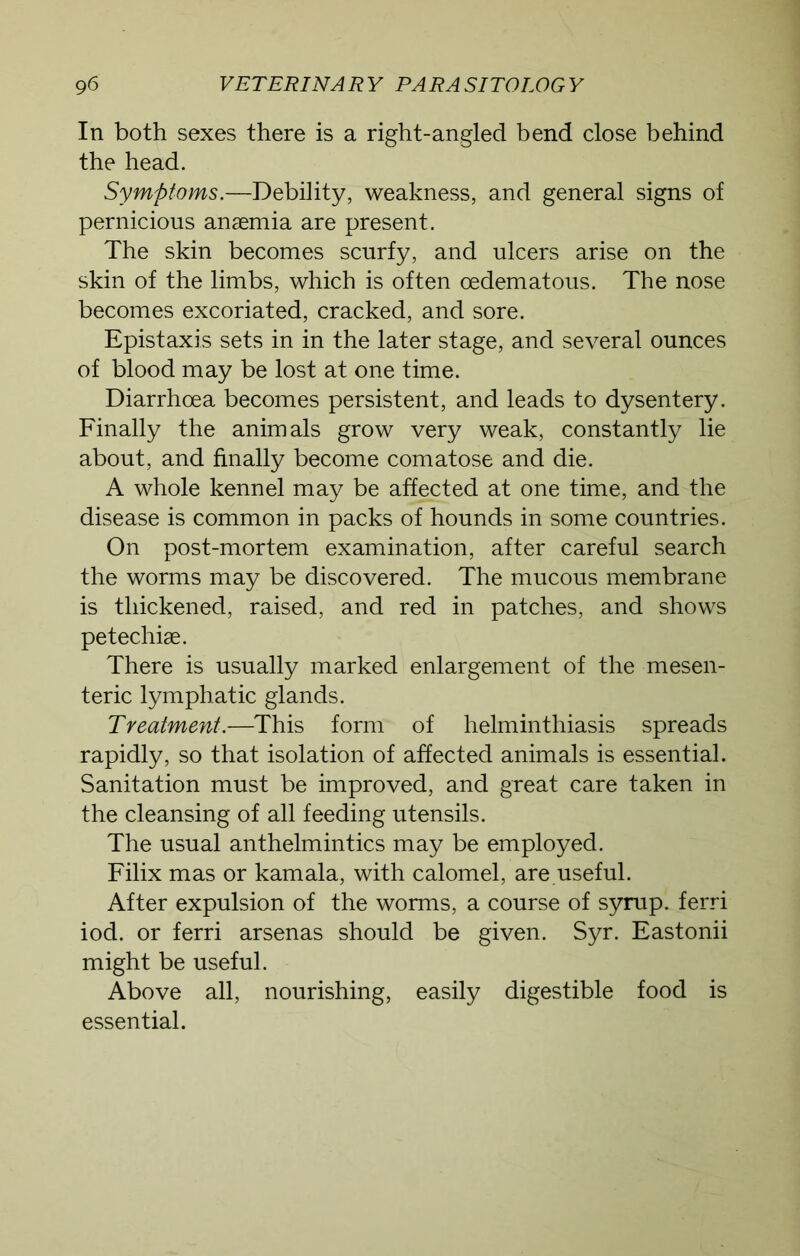 In both sexes there is a right-angled bend close behind the head. Symptoms.—Debility, weakness, and general signs of pernicious anaemia are present. The skin becomes scurfy, and ulcers arise on the skin of the limbs, which is often oedematous. The nose becomes excoriated, cracked, and sore. Epistaxis sets in in the later stage, and several ounces of blood may be lost at one time. Diarrhoea becomes persistent, and leads to dysentery. Finally the animals grow very weak, constantly lie about, and finally become comatose and die. A whole kennel may be affected at one time, and the disease is common in packs of hounds in some countries. On post-mortem examination, after careful search the worms may be discovered. The mucous membrane is thickened, raised, and red in patches, and shows petechise. There is usually marked enlargement of the mesen- teric lymphatic glands. Treatment.—This form of helminthiasis spreads rapidly, so that isolation of affected animals is essential. Sanitation must be improved, and great care taken in the cleansing of all feeding utensils. The usual anthelmintics may be employed. Filix mas or kamala, with calomel, are.useful. After expulsion of the worms, a course of syrup, ferri iod. or ferri arsenas should be given. Syr. Eastonii might be useful. Above all, nourishing, easily digestible food is essential.