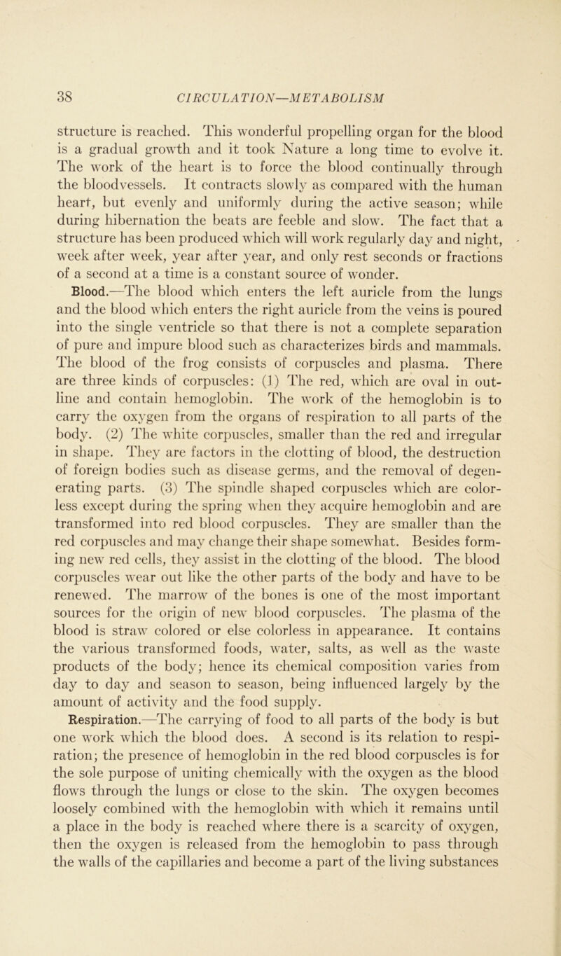 structure is reached. This wonderful propelling organ for the blood is a gradual growth and it took Nature a long time to evolve it. The work of the heart is to force the blood continually through the bloodvessels. It contracts slowly as compared with the human heart, but evenly and uniformly during the active season; while during hibernation the beats are feeble and slow. The fact that a structure has been produced which will work regularly day and night, week after week, year after year, and only rest seconds or fractions of a second at a time is a constant source of wonder. Blood.—The blood which enters the left auricle from the lungs and the blood which enters the right auricle from the veins is poured into the single ventricle so that there is not a complete separation of pure and impure blood such as characterizes birds and mammals. The blood of the frog consists of corpuscles and plasma. There are three kinds of corpuscles: (1) The red, which are oval in out- line and contain hemoglobin. The work of the hemoglobin is to carry the oxygen from the organs of respiration to all parts of the body. (2) The white corpuscles, smaller than the red and irregular in shape. They are factors in the clotting of blood, the destruction of foreign bodies such as disease germs, and the removal of degen- erating parts. (3) The spindle shaped corpuscles which are color- less except during the spring when they acquire hemoglobin and are transformed into red blood corpuscles. They are smaller than the red corpuscles and may change their shape somewhat. Besides form- ing new red cells, they assist in the clotting of the blood. The blood corpuscles wear out like the other parts of the body and have to be renewed. The marrow of the bones is one of the most important sources for the origin of new blood corpuscles. The plasma of the blood is straw colored or else colorless in appearance. It contains the various transformed foods, water, salts, as well as the waste products of the body; hence its chemical composition varies from day to day and season to season, being influenced largely by the amount of activity and the food supply. Respiration.—The carrying of food to all parts of the body is but one work which the blood does. A second is its relation to respi- ration; the presence of hemoglobin in the red blood corpuscles is for the sole purpose of uniting chemically with the oxygen as the blood flows through the lungs or close to the skin. The oxygen becomes loosely combined with the hemoglobin with which it remains until a place in the body is reached where there is a scarcity of oxygen, then the oxygen is released from the hemoglobin to pass through the walls of the capillaries and become a part of the living substances