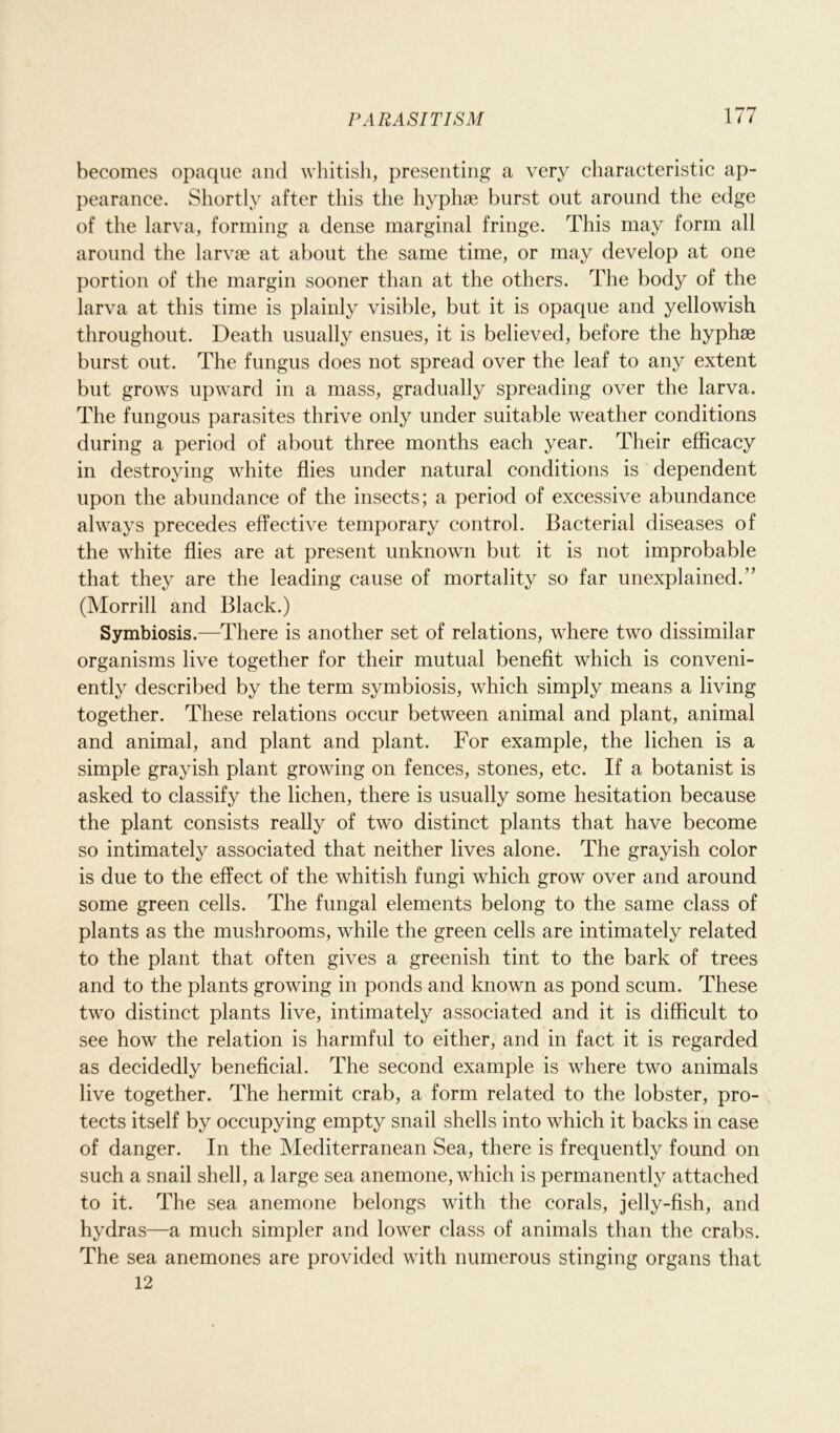becomes opaque and whitish, presenting a very characteristic ap- pearance. Shortly after this the hyphse burst out around the edge of the larva, forming a dense marginal fringe. This may form all around the larvae at about the same time, or may develop at one portion of the margin sooner than at the others. The body of the larva at this time is plainly visible, but it is opaque and yellowish throughout. Death usually ensues, it is believed, before the hyphae burst out. The fungus does not spread over the leaf to any extent but grows upward in a mass, gradually spreading over the larva. The fungous parasites thrive only under suitable weather conditions during a period of about three months each year. Their efficacy in destroying white flies under natural conditions is dependent upon the abundance of the insects; a period of excessive abundance always precedes effective temporary control. Bacterial diseases of the white flies are at present unknown but it is not improbable that they are the leading cause of mortality so far unexplained.” (Morrill and Black.) Symbiosis.—There is another set of relations, where two dissimilar organisms live together for their mutual benefit which is conveni- ently described by the term symbiosis, which simply means a living together. These relations occur between animal and plant, animal and animal, and plant and plant. For example, the lichen is a simple grayish plant growing on fences, stones, etc. If a botanist is asked to classify the lichen, there is usually some hesitation because the plant consists really of two distinct plants that have become so intimately associated that neither lives alone. The grayish color is due to the effect of the whitish fungi which grow over and around some green cells. The fungal elements belong to the same class of plants as the mushrooms, while the green cells are intimately related to the plant that often gives a greenish tint to the bark of trees and to the plants growing in ponds and known as pond scum. These two distinct plants live, intimately associated and it is difficult to see how the relation is harmful to either, and in fact it is regarded as decidedly beneficial. The second example is where two animals live together. The hermit crab, a form related to the lobster, pro- tects itself by occupying empty snail shells into which it backs in case of danger. In the Mediterranean Sea, there is frequently found on such a snail shell, a large sea anemone, which is permanently attached to it. The sea anemone belongs with the corals, jelly-fish, and hydras—a much simpler and lower class of animals than the crabs. The sea anemones are provided with numerous stinging organs that 12