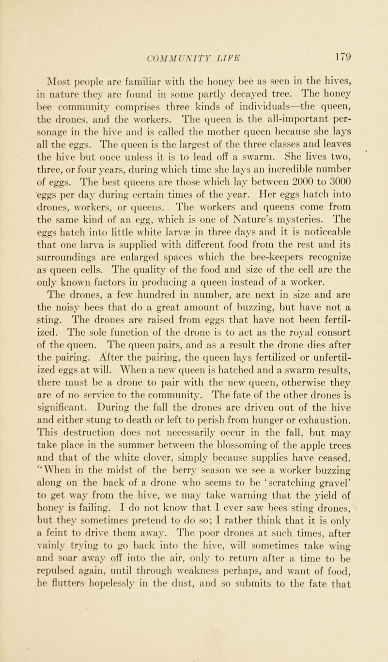Most people are familiar with the honey bee as seen in the hives, in nature they are found in some partly decayed tree. The honey bee community comprises three kinds of individuals—the queen, the drones, and the workers. The queen is the all-important per- sonage in the hive and is called the mother queen because she lays all the eggs. The queen is the largest of the three classes and leaves the hive but once unless it is to lead off a swarm. She lives two, three, or four years, during which time she lays an incredible number of eggs. The best queens are those which lay between 2000 to 3000 eggs per day during certain times of the year. Her eggs hatch into drones, workers, or queens. The workers and queens come from the same kind of an egg, which is one of Nature’s mysteries. The eggs hatch into little white larvae in three days and it is noticeable that one larva is supplied with different food from the rest and its surroundings are enlarged spaces which the bee-keepers recognize as queen cells. The quality of the food and size of the cell are the only known factors in producing a queen instead of a worker. The drones, a few hundred in number, are next in size and are the noisy bees that do a great amount of buzzing, but have not a sting. The drones are raised from eggs that have not been fertil- ized. The sole function of the drone is to act as the royal consort of the queen. The queen pairs, and as a result the drone dies after the pairing. After the pairing, the queen lays fertilized or unfertil- ized eggs at will. When a new queen is hatched and a swarm results, there must be a drone to pair with the new queen, otherwise they are of no service to the community. The fate of the other drones is significant. During the fall the drones are driven out of the hive and either stung to death or left to perish from hunger or exhaustion. This destruction does not necessarily occur in the fall, but may take place in the summer between the blossoming of the apple trees and that of the white clover, simply because supplies have ceased. “When in the midst of the berry season we see a worker buzzing along on the back of a drone who seems to be ‘scratching gravel’ to get way from the hive, we may take warning that the yield of honey is failing. I do not know that I ever saw bees sting drones, but they sometimes pretend to do so; I rather think that it is only a feint to drive them away. The poor drones at such times, after vainly trying to go back into the hive, will sometimes take wing and soar away off into the air, only to return after a time to be repulsed again, until through weakness perhaps, and want of food, he flutters hopelessly in the dust, and so submits to the fate that