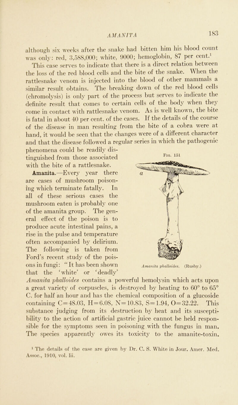 AMANITA although six weeks after the snake had bitten him his blood count was only: red, 3,588,000; white, 9000; hemoglobin, 87 per cent.1 This case serves to indicate that there is a direct relation between the loss of the red blood cells and the bite of the snake. When the rattlesnake venom is injected into the blood of other mammals a similar result obtains. The breaking down of the red blood cells (chromolysis) is only part of the process but serves to indicate the definite result that comes to certain cells of the body when they come in contact with rattlesnake venom. As is well known, the bite is fatal in about 40 per cent, of the cases. If the details of the course of the disease in man resulting from the bite of a cobra were at hand, it would be seen that the changes were of a different character and that the disease followed a regular series in which the pathogenic phenomena could be readily dis- tinguished from those associated with the bite of a rattlesnake. Amanita.—Every year there are cases of mushroom poison- ing which terminate fatally. In all of these serious cases the mushroom eaten is probably one of the amanita group. The gen- eral effect of the poison is to produce acute intestinal pains, a rise in the pulse and temperature often accompanied by delirium. The following is taken from Ford’s recent study of the pois- ons in fungi: “ It has been shown that the ‘white’ or ‘deadly’ Amanita phalloides contains a powerful hemolysin which acts upon a great variety of corpuscles, is destroyed by heating to 60° to 65° C. for half an hour and has the chemical composition of a glucoside containing C = 48.03, H=6.08, N= 10.83, S= 1.94, 0=32.22. This substance judging from its destruction by heat and its suscepti- bility to the action of artificial gastric juice cannot be held respon- sible for the symptoms seen in poisoning with the fungus in man. The species apparently owes its toxicity to the amanite-toxin. 1 The details of the case are given by Dr. C. S. White in Jour. Amer. Med. Assoc., 1910, vol. lii. Fig. 151 Amanita phalloides. (Rusby.)