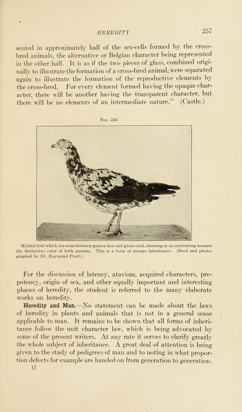 I HEREDITY 257 sented in approximately half of the sex-cells formed by the cross- bred animals, the alternative or Belgian character being represented in the other half. It is as if the two pieces of glass, combined origi- nally to illustrate the formation of a cross-bred animal, were separated again to illustrate the formation of the reproductive elements by the cross-bred, For every element formed having the opaque char- acter, there will be another having the transparent character, but there will be no elements of an intermediate nature.” (Castle.) Fig. 234 Hybrid fowl wdhch is a cross between guinea hen and game-cock, showing in an interesting manner the distinctive color of both parents. This is a form of mosaic inheritance. (Bred and photo- graphed by Dr. Raymond Pearl.) For the discussion of latency, atavism, acquired characters, pre- potency, origin of sex, and other equally important and interesting phases of heredity, the student is referred to the many elaborate works on heredity. Heredity and Man.—No statement can be made about the laws of heredity in plants and animals that is not in a general sense applicable to man. It remains to be shown that all forms of inheri- tance follow the unit character law, which is being advocated by some of the present writers. At any rate it serves to clarify greatly the whole subject of inheritance. A great deal of attention is being given to the study of pedigrees of man and to noting in what propor- tion defects for example are handed on from generation to generation. 17