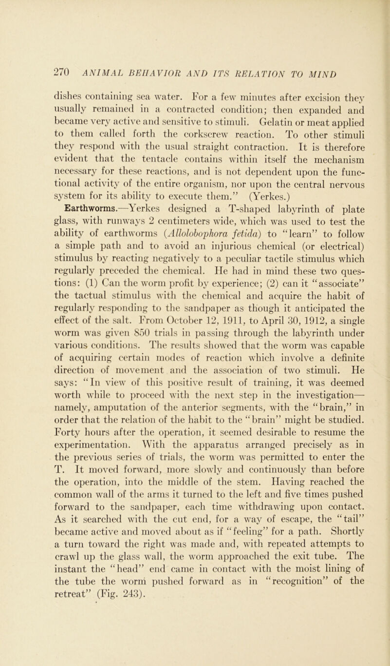 dishes containing sea water. For a few minutes after excision they usually remained in a contracted condition; then expanded and became very active and sensitive to stimuli. Gelatin or meat applied to them called forth the corkscrew reaction. To other stimuli they respond with the usual straight contraction. It is therefore evident that the tentacle contains within itself the mechanism necessary for these reactions, and is not dependent upon the func- tional activity of the entire organism, nor upon the central nervous system for its ability to execute them.” (Yerkes.) Earthworms.—Yerkes designed a T-shaped labyrinth of plate glass, with runways 2 centimeters wide, which was used to test the ability of earthworms (Allolobophora fetida) to “ learn” to follow a simple path and to avoid an injurious chemical (or electrical) stimulus by reacting negatively to a peculiar tactile stimulus which regularly preceded the chemical. He had in mind these two ques- tions: (1) Can the worm profit by experience; (2) can it “associate” the tactual stimulus with the chemical and acquire the habit of regularly responding to the sandpaper as though it anticipated the effect of the salt. From October 12, 1911, to April 30, 1912, a single worm was given 850 trials in passing through the labyrinth under various conditions. The results showed that the worm was capable of acquiring certain modes of reaction which involve a definite direction of movement and the association of two stimuli. He says: “In view of this positive result of training, it was deemed worth while to proceed with the next step in the investigation— namely, amputation of the anterior segments, with the “brain,” in order that the relation of the habit to the “brain” might be studied. Forty hours after the operation, it seemed desirable to resume the experimentation. With the apparatus arranged precisely as in the previous series of trials, the worm was permitted to enter the T. It moved forward, more slowly and continuously than before the operation, into the middle of the stem. Having reached the common wall of the arms it turned to the left and five times pushed forward to the sandpaper, each time withdrawing upon contact. As it searched with the cut end, for a way of escape, the “tail” became active and moved about as if “feeling” for a path. Shortly a turn toward the right was made and, with repeated attempts to crawl up the glass wall, the worm approached the exit tube. The instant the “head” end came in contact with the moist lining of the tube the worm pushed forward as in “recognition” of the retreat” (Fig. 243).