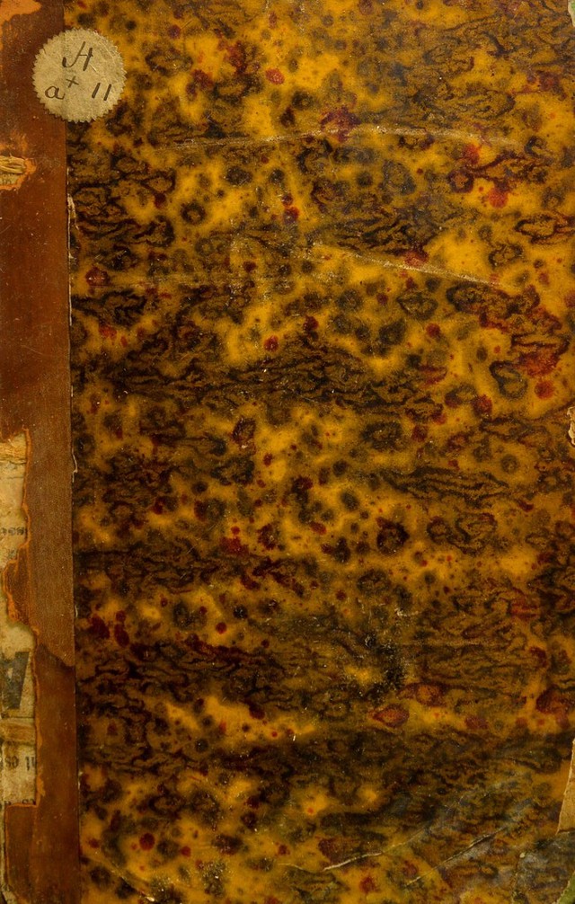 digitised image 1