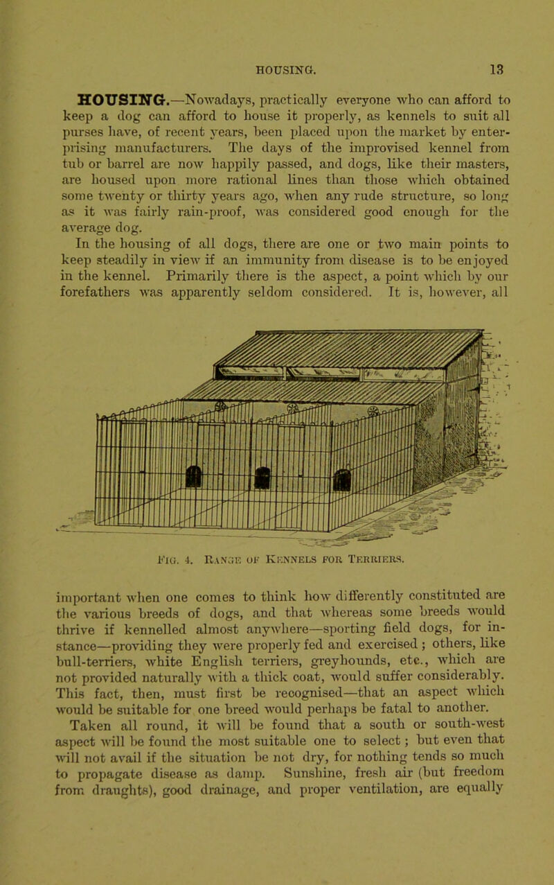 HOUSING.—Nowadays, practically everyone who can afford to keep a dog can afford to house it properly, as kennels to suit all purses have, of recent years, been placed upon the market by enter- prising manufacturers. The days of the improvised kennel from tub or barrel are now happily passed, and dogs, like their masters, are housed upon more rational lines than those which obtained some twenty or thirty years ago, when any rude structure, so long as it was fairly rain-proof, was considered good enough for the average dog. In the housing of all dogs, there are one or two main points to keep steadily in view if an immunity from disease is to be enjoyed in the kennel. Primarily there is the aspect, a point which by our forefathers was apparently seldom considered. It is, however, all Fig. 4. Range of Kennels for Terriers. important when one comes to think how differently constituted are the various breeds of dogs, and that whereas some breeds would thrive if kennelled almost anywhere—sporting field dogs, for in- stance—providing they were properly fed and exercised ; others, like bull-terriers, white English terriers, greyhounds, etc., which are not provided naturally with a thick coat, would suffer considerably. This fact, then, must first be recognised—that an aspect which would be suitable for one breed would perhaps be fatal to another. Taken all round, it will be found that a south or south-west aspect will be found the most suitable one to select; but even that will not avail if the situation be not dry, for nothing tends so much to propagate disease as damp. Sunshine, fresh air (but freedom from draughts), good drainage, and proper ventilation, are equally