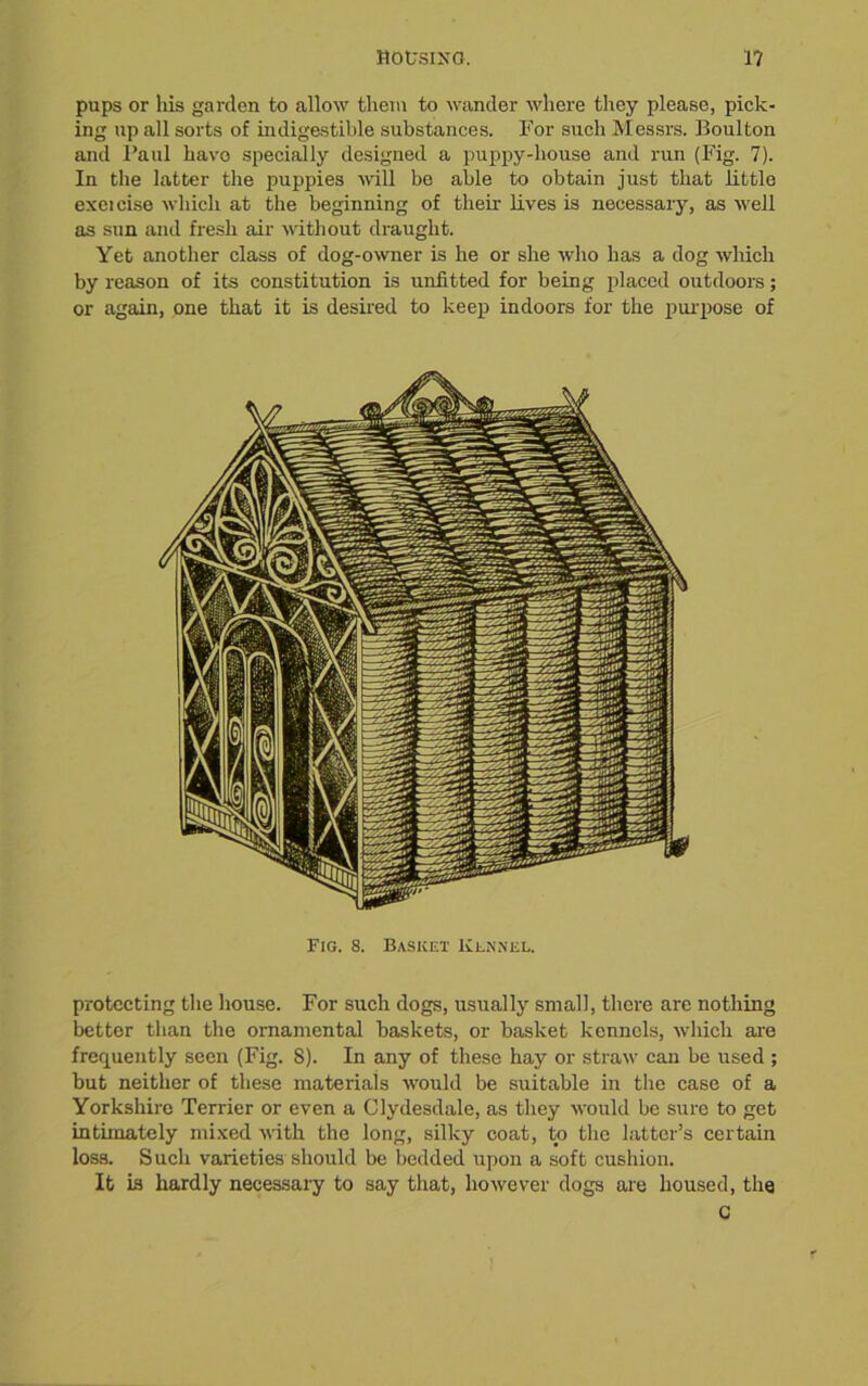 pups or his garden to allow them to wander where they please, pick- ing up all sorts of indigestible substances. For such Messrs. Boulton and Paul havo specially designed a puppy-house and run (Fig. 7). In the latter the puppies will be able to obtain just that little exeicise which at the beginning of their lives is necessary, as well as sun and fresh air without draught. Yet another class of dog-owner is he or she who has a dog which by reason of its constitution is unfitted for being placed outdoors; or again, one that it is desired to keep indoors for the purpose of Fig. 8. Basket Kennel. protecting the house. For such dogs, usually small, there arc nothing bettor than the ornamental baskets, or basket kennels, which are frequently seen (Fig. 8). In any of these hay or straw can be used ; but neither of these materials would be suitable in the case of a Yorkshire Terrier or even a Clydesdale, as they would be sure to get intimately mixed with the long, silky coat, to the latter’s certain loss. Such varieties should be bedded upon a soft cushion. It is hardly necessary to say that, however dogs are housed, the G