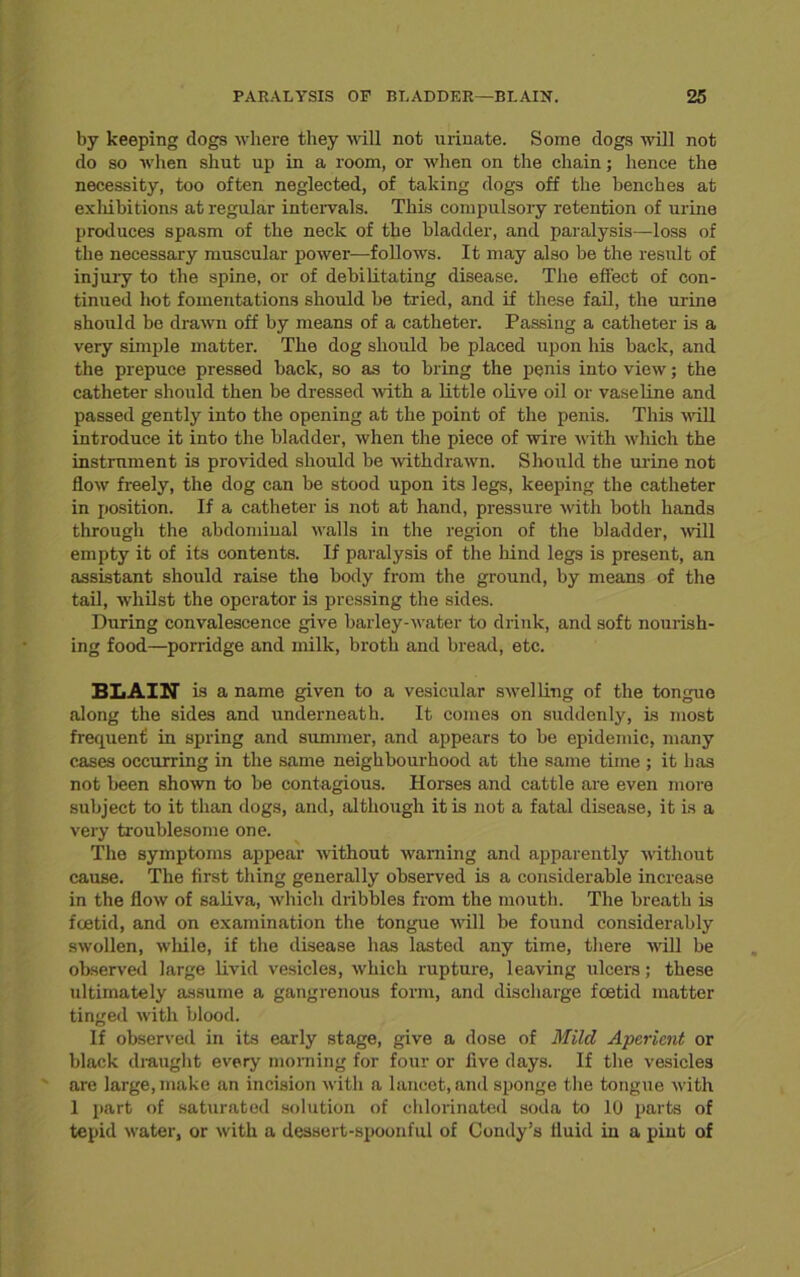 by keeping dogs where they will not urinate. Some dogs will not do so when shut up in a room, or when on the chain; hence the necessity, too often neglected, of taking dogs off the benches at exhibitions at regular intervals. This compulsory retention of urine produces spasm of the neck of the bladder, and paralysis—loss of the necessary muscular power—follows. It may also be the result of injury to the spine, or of debilitating disease. The effect of con- tinued hot fomentations should be tried, and if these fail, the urine should be drawn off by means of a catheter. Passing a catheter is a very simple matter. The dog should be placed upon his back, and the prepuce pressed back, so as to bring the penis into view; the catheter should then be dressed with a little olive oil or vaseline and passed gently into the opening at the point of the penis. This will introduce it into the bladder, when the piece of wire with which the instrument is provided should be withdrawn. Should the mine not flow freely, the dog can be stood upon its legs, keeping the catheter in position. If a catheter is not at hand, pressure with both hands through the abdomiual walls in the region of the bladder, will empty it of its contents. If paralysis of the hind legs is present, an assistant should raise the body from the ground, by means of the tail, whilst the operator is pressing the sides. During convalescence give barley-water to drink, and soft nourish- ing food—porridge and milk, broth and bread, etc. BLAIN is a name given to a vesicular swelling of the tongue along the sides and underneath. It comes on suddenly, is most frequent in spring and summer, and appears to be epidemic, many cases occurring in the same neighbourhood at the same time ; it has not been shown to be contagious. Horses and cattle are even more subject to it than dogs, and, although it is not a fatal disease, it is a very troublesome one. The symptoms appear without warning and apparently without cause. The first thing generally observed is a considerable increase in the flow of saliva, which dribbles from the mouth. The breath is foetid, and on examination the tongue will be found considerably swollen, while, if the disease has lasted any time, there will be observed large livid vesicles, which rupture, leaving ulcers; these ultimately assume a gangrenous form, and discharge foetid matter tinged with blood. If observed in its early stage, give a dose of Mild Aperient or black draught every morning for four or five days. If the vesicles are large, make an incision with a lancet, and sponge the tongue with 1 part of saturated solution of chlorinated soda to 10 parts of tepid water, or with a dessert-spoonful of Condy’s fluid in a pint of