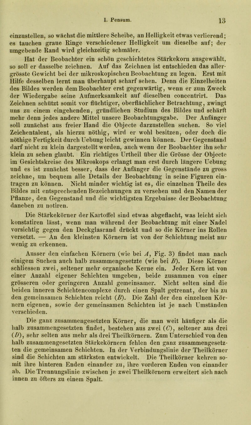 einzustelleii, so wächst die mittlere Scheibe, an Helligkeit etwas verlierend; es tauchen graue Ringe verschiedener Helligkeit um dieselbe auf; der umgebende Rand wird gleichzeitig schmäler. Hat der Beobachter ein schön geschichtetes Stärkekorn ausgewählt, so soll er dasselbe zeichnen. Auf das Zeichnen ist entschieden das aller- grösste Gewicht bei der mikroskopischen Beobachtung zu legen. Erst mit Hilfe desselben lernt man überhaupt scharf sehen. Denn die Einzelheiten des Bildes werden dem Beobachter erst gegenwärtig, wenn er zum Zweck der Wiedergabe seine Aufmerksamkeit auf dieselben concentrirt. Das Zeichnen schützt somit vor flüchtiger, oberflächlicher Betrachtung, zwingt uns zu einem eingehenden, gründlichen Studium des Bildes und schärft mehr denn jedes andere Mittel unsere Beobachtungsgabe. Der Anfänger soll zunächst aus freier Hand die Objecte darzustellen suchen. So viel Zeichentalent, als hierzu nöthig, wird er wohl besitzen, oder doch die nöthige Fertigkeit durch Uebuug leicht gewinnen können. Der Gegenstand darf nicht zu klein dargestellt werden, auch wenn der Beobachter ihn sehr klein zu sehen glaubt. Ein richtiges Urtheil über die Grösse der Objecte im Gesichtskreise des Mikroskops erlangt man erst durch längere Uebung und es ist zunächst besser, dass der Anfänger die Gegenstände zu gross zeichne, um bequem alle Details der Beobachtung in seine Figuren ein- tragen zu können. Nicht minder wichtig ist es, die einzelnen Theile des Bildes mit entsprechenden Bezeichnungen zu versehen und den Namen der Pflanze , den Gegenstand und die wichtigsten Ergebnisse der Beobachtung daneben zu uotiren. Die Stärkekörner der Kartoffel sind etwas abgeflacht, was leicht sich konstatiren lässt, wenn man während der Beobachtung mit einer Nadel vorsichtig gegen den Deckglasrand drückt und so die Körner ins Rollen versetzt. — An den kleinsten Körnern ist von der Schichtung meist nur wenig zu erkennen. Ausser den einfachen Körnern (wie bei A, Fig. 3) findet man nach einigem Suchen auch halb zusammengesetzte (wie bei B), Diese Körner schliessen zwei, seltener mehr organische Kerne ein. Jeder Kern ist von einer Anzahl eigener Schichten umgeben, beide zusammen von einer grösseren oder geringeren Anzahl gemeinsamer. Nicht selten sind die beiden inneren Schichtencomplexe durch einen Spalt getrennt, der bis zu den gemeinsamen Schichten reicht (B). Die Zahl der den einzelnen Kör- nern eigenen, sowie der gemeinsamen Schichten ist je nach Umständen verschieden. Die ganz zusammengesetzten Körner, die man weit häufiger als die halb zusammengesetzten findet, bestehen aus zwei (C), seltener aus drei (D), sehr selten aus mehr als drei Theilkörnern. Zum Unterschied von den halb zusammengesetzten Stärkekörnern fehlen den ganz zusammengesetz- ten die gemeinsamen Schichten. In der Verbindungslinie der Theilkörner sind die Schichten am stärksten entwickelt. Die Theilkörner kehren so- mit ihre hinteren Enden einander zu, ihre vorderen Enden von einander ab. Die Trennungslinie zwischen je zwei Theilkörnern erweitert sich nach innen zu öfters zu einem Spalt.