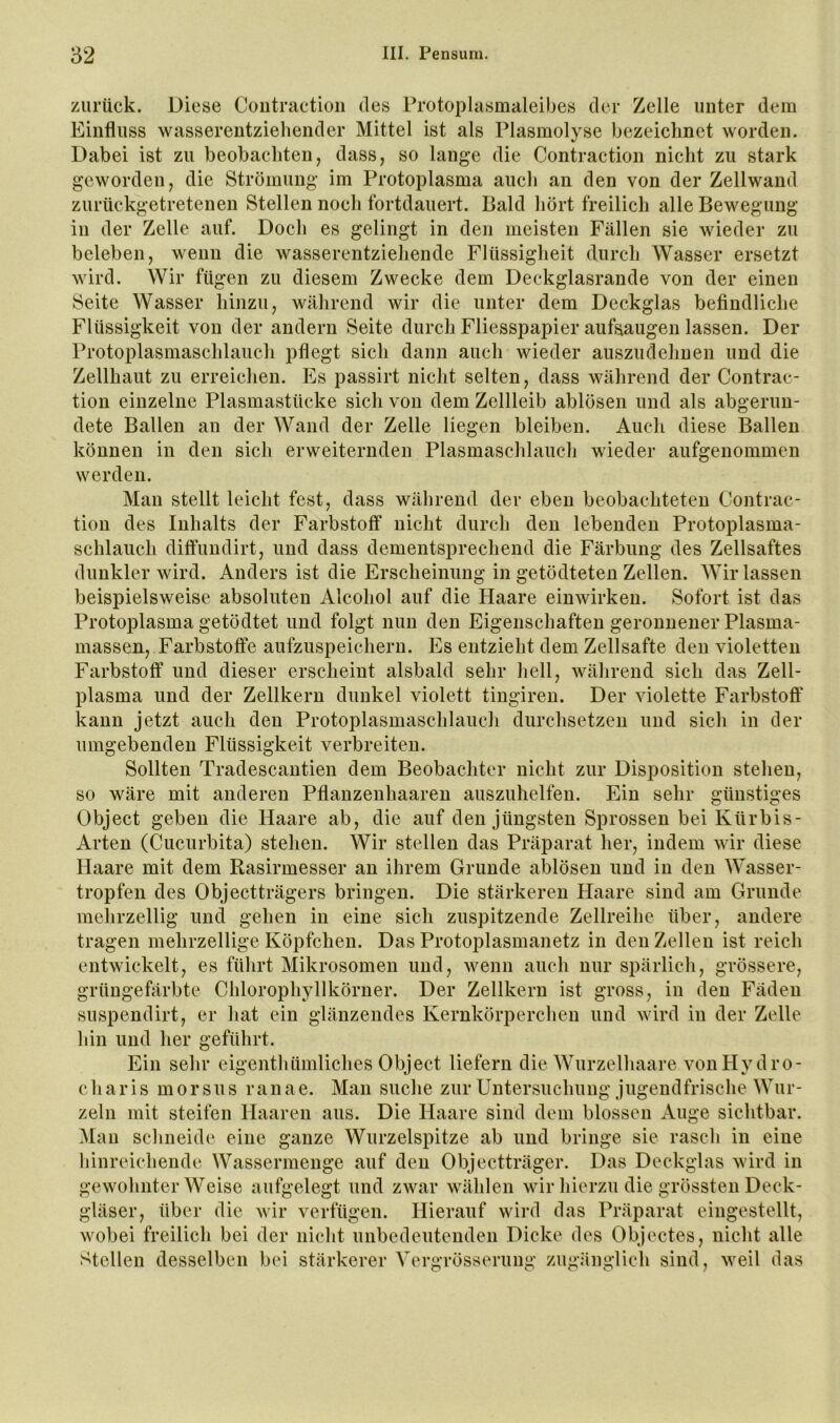 zurück. Diese Coiitraction des Protoplasmaleibes der Zelle unter dem Einfluss wasserentziehender Mittel ist als Plasmolyse bezeichnet worden. Dabei ist zu beobachten, dass, so lange die Contraction nicht zu stark geworden, die Strömung im Protoplasma auch an den von der Zellwand zurückgetretenen Stellen noch fortdauert. Bald hört freilich alle Bewegung in der Zelle auf. Doch es gelingt in den meisten Fällen sie wieder zu beleben, wenn die wasserentziehende Flüssigheit durch Wasser ersetzt wird. Wir fügen zu diesem Zwecke dem Deckglasrande von der einen Seite Wasser hinzu, während wir die unter dem Deckglas befindliche Flüssigkeit von der andern Seite durch Fliesspapier aufsaugen lassen. Der Protoplasmaschlauch pflegt sich dann auch wieder auszudehnen und die Zellhaut zu erreichen. Es passirt nicht selten, dass während der Contrac- tion einzelne Plasmastücke sich von dem Zellleib ablösen und als abgerun- dete Ballen an der Wand der Zelle liegen bleiben. Auch diese Ballen können in den sich erweiternden Plasmaschlauch wieder aufgenommen werden. Man stellt leicht fest, dass während der eben beobachteten Contrac- tion des Inhalts der Farbstoff nicht durch den lebenden Protoplasma- schlaucli diffundirt, und dass dementsprechend die Färbung des Zellsaftes dunkler wird. Anders ist die Erscheinung in getödteten Zellen. AVir lassen beispielsweise absoluten Alcohol auf die Haare einwirkeu. Sofort ist das Protoplasma getödtet und folgt nun den Eigenschaften geronnener Plasma- massen, Farbstoffe aufzuspeichern. Es entzieht dem Zellsafte den violetten Farbstoff und dieser ersclieint alsbald sehr hell, während sich das Zell- plasma und der Zellkern dunkel violett tingiren. Der violette Farbstoff kann jetzt auch den Protoplasmaschlauch durchsetzen und sich in der umgebenden Flüssigkeit verbreiten. Sollten Tradescantien dem Beobachter nicht zur Disposition stehen, so wäre mit anderen Pflanzenhaaren auszuhelfen. Ein sehr günstiges Object geben die Haare ab, die auf den jüngsten Sprossen bei Kürbis- Arten (Cucurbita) stehen. Wir stellen das Präparat her, indem wir diese Haare mit dem Rasirmesser an ihrem Grunde ablösen und in den Wasser- tropfen des Objectträgers bringen. Die stärkeren Haare sind am Grunde mehrzellig und gehen in eine sich zuspitzende Zellreihe über, andere tragen mehrzellige Köpfchen. Das ProtoiDlasmanetz in den Zellen ist reich entwickelt, es führt Mikrosomen und, wenn auch nur spärlich, grössere, grüugefärbte Chlorophyllkörner. Der Zellkern ist gross, in den Fäden suspendirt, er hat ein glänzendes Kernkörperchen und wird in der Zelle Idn und her geführt. Ein sehr eigentliümliches Object liefern die Wurzelhaare vonHydro- c h a r i s m o r sus r a n a e. Man suche zur Untersuchung jugendfrische Wur- zeln mit steifen Haaren aus. Die Haare sind dem blossen Auge sichtbar. Mau schneide eine ganze Wurzelspitze ab und bringe sie rasch in eine liinreichendc Wassermeiige auf den Objectträger. Das Deckglas wird in gewohnter Weise aufgelegt und zwar wählen wir hierzu die grössten Deck- läser, über die wir verfügen. Hierauf wird das Präparat eingestellt, wobei freilich bei der nicht unbedeutenden Dicke des Objectes, nicht alle S^tellen desselben bei stärkerer Vergrösseruug zugänglich sind, weil das