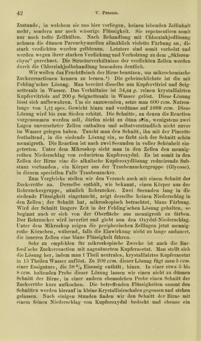 Zustande, in welchem sie uns hier vorliegen, keinen lebenden Zellinhalt mehr, sondern nur noch wässrige Flüssigkeit. Sie repräsentiren somit nur noch todte Zellhüllen. Nach Behandlung mit Chlorzinkjodlösung nehmen die dünnen Parenchymzellen allmählich violette Färbung an, die stark verdickten werden gelbbraun. Letztere sind somit verholzt und werden wegen ihrer starken Verdickung und Verholzung zudem „Skleren- chym“ gerechnet. Die Structurverhältnisse der verdickten Zellen werden durch die Chlorzinkjodbehandlung besonders deutlich. Wir wollen das Fruchtfleisch der Birne benutzen, um mikrochemisclie Zuckerreactionen kennen zu lernen. Die gebräuchlichste ist die mit Fehling’scher Lösung. Man bereitet dieselbe aus Kupfervitriol und Seig- nettesalz in Wasser. Das Verhältniss ist 34,64 g. reinen krystallisirteu Kupfervitriols auf 200 </. Seignettesalz in Wasser gelöst. Diese Lösung lässt sich aufbewahren. Um sie anzuwenden, setze man 600 ccm. Natron- lauge von 1,12 spec. Gewicht hinzu und verdünne auf 1000 ccm. Diese Lösung wird bis zum Sieden erhitzt. Die Schnitte, an denen dieReaction vorgenommen werden soll, dürfen nicht zu dünn s^in, wenigstens zwei Lagen unversehrter Zellen enthalten und selbstverständlich nicht zuvor im Wasser gelegen haben. Taucht man den Schnitt, ihn mit der Pincette festhaltend, in die siedende Lösung ein, so färbt sich der Schnitt schön mennigroth. Die Reaction ist nach zwei Secunden in voller Schönheit ein- getreten. Unter dem Mikroskop sieht man in den Zellen den mennig- rotheii Niederschlag von reducirtem Kupferoxydul. Es ist somit in den Zellen der Birne eine die alkalische Kupferoxydlösung reducirende Sub- stanz vorhanden, ein Körper aus der Traubenzuckergruppe (Glycose), in diesem speciellen Falle Traubenzucker. Zum Vergleiche stellen wir den Versuch auch mit einem Schnitt der Zuckerrübe an. Derselbe enthält, wie bekannt, einen Körper aus der Rohrzuckergruppe, nämlich Rohrzucker. Zwei Secunden lang in die siedende Flüssigkeit eingetaucht, zeigt derselbe keinen Niederschlag in den Zellen; der Schnitt hat, mikroskopisch betrachtet, blaue Färbung. Wird der Schnitt längere Zeit in der Fehling’schen Lösung gehalten, so beginnt auch er sich von der Oberfläche aus mennigroth zu färben. Der Rohrzucker wird invertirt und giebt nun den Oxydul-Niederschlag. Unter dem Mikroskop zeigen die peripherischen Zelllagen jetzt mennig- rothe Körnchen, während, falls die Einwirkung nicht zu lange andauert, die inneren Zellen eine blaue Flüssigkeit führen. Sehr zu empfehlen für mikroskopische Zwecke ist auch die Bar- foed’sche Zuckerreaction mit augesäuertem Kupferacetat. Man stellt sich die Lösung her, indem man 1 Theil neutrales, krystallisirtes Kupferacetat in 15 Theilen Wasser auflöst. Zu 200 ccm. dieser Lösung fügt man 5 ccm. einer Essigsäure, die 38% Eisessig enthält, hinzu. In einer etwa 5 bis 8 ccm. haltenden Probe dieser Lösung lassen wir einen nicht zu dünnen Schnitt der Birne, in einer andern ebensolchen Probe einen Schnitt der Zuckerrübe kurz auf kochen. Die betreffenden Flüssigkeiten sanimt den Schnitten werden hierauf in kleine Krystallisirschalen gegossen und stehen gelassen. Nach einigen Stunden finden wir den Schnitt der Birne mit einem feinen Niederschlag von Kupferoxydul bedeckt und ebenso ein