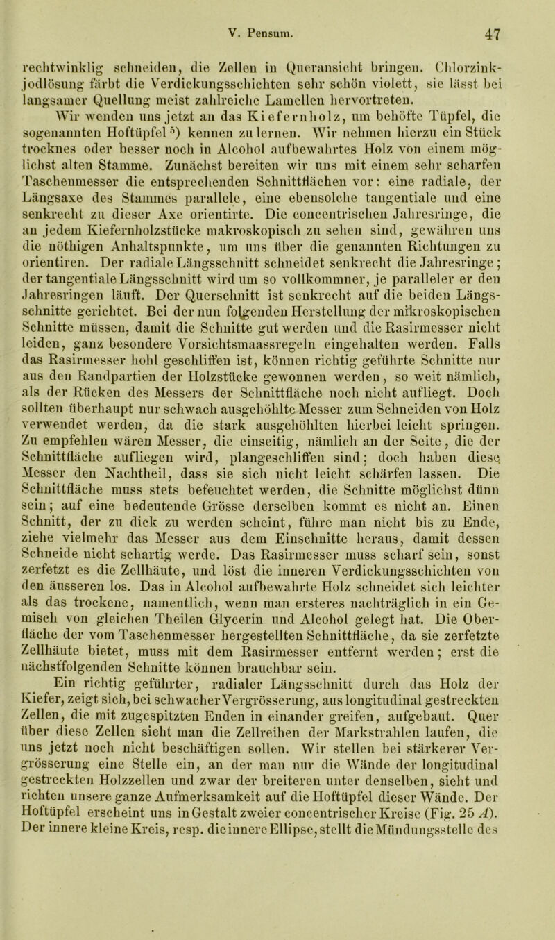 rechtwinklig sclmeideii, die Zellen in Queninsicht bringen. Cldorzink- jodlösung färbt die Verdickungssehichten sehr schön violett, sic lasst Ijei langsamer Quellung meist zahlreiche Lamellen hervortreten. Wir wenden uns jetzt an das Kiefernholz, um behöftc Tüpfel, die sogenannten Hoftüpfel kennen zu lernen. Wir nehmen hierzu ein Stück trocknes oder besser noch in Alcohol aufbewahrtes Holz von einem mög- lichst alten Stamme. Zunächst bereiten wir uns mit einem sehr scharfen Taschenmesser die entsprechenden Schnittdächen vor: eine radiale, der Längsaxe des Stammes parallele, eine ebensolche tangentiale und eine senkrecht zu dieser Axe orientirte. Die concentrischen Jahresringe, die an jedem Kiefernholzstücke makroskopisch zu sehen sind, gewähren uns die nöthigen Anhaltspunkte, um uns über die genannten Richtungen zu orientiren. Der radiale Längsschnitt schneidet senkrecht die Jahresringe; der tangentiale Längsschnitt wird um so vollkommner, je paralleler er den Jahresringen läuft. Der Querschnitt ist senkrecht auf die beiden Längs- schnitte gerichtet. Bei der nun folgenden Herstellung der mikroskopischen Schnitte müssen, damit die Schnitte gut werden und die Rasirmesser nicht leiden, ganz besondere Vorsichtsmaassregeln eingehalten werden. Falls das Rasirmesser hohl geschliften ist, können richtig geführte Schnitte nur aus den Randpartien der Holzstücke gewonnen werden, so weit nämlich, als der Rücken des Messers der Schnittfläche noch nicht aufliegt. Doch sollten überhaupt nur schwach ausgehöhlte Messer zum Schneiden von Holz verwendet werden, da die stark ausgehöhlten hierbei leicht springen. Zu empfehlen wären Messer, die einseitig, nämlich an der Seite, die der Schnittfläche auf liegen wird, plangeschliften sind; doch haben diese Messer den Nachtheil, dass sie sich nicht leicht schärfen lassen. Die Schnittfläche muss stets befeuchtet werden, die Schnitte möglichst dünn sein; auf eine bedeutende Grösse derselben kommt es nicht an. Einen Schnitt, der zu dick zu Averden scheint, führe man nicht bis zu Ende, ziehe vielmehr das Messer aus dem Einschnitte heraus, damit dessen Schneide nicht schartig werde. Das Rasirmesser muss scharf sein, sonst zerfetzt es die Zellhäute, und löst die inneren Verdickungsschichten von den äusseren los. Das in Alcohol aufbewahrte Holz schneidet sich leichter als das trockene, namentlich, wenn man ersteres nachträglich in ein Ge- misch von gleichen Theilen Glycerin und Alcohol gelegt hat. Die Ober- fläche der vom Taschenmesser hergestellten Schnittfläche, da sie zerfetzte Zellhäute bietet, muss mit dem Rasirmesser entfernt werden; erst die nächstfolgenden Schnitte können brauchbar sein. Ein richtig geführter, radialer Längsschnitt durch das Holz der Kiefer, zeigt sich, bei schwacher Vergrösserung, aus longitudinal gestreckten Zellen, die mit zugespitzten Enden in einander greifen, aufgebaut. Quer über diese Zellen sieht man die Zellreihen der Markstrahlen laufen, die uns jetzt noch nicht beschäftigen sollen. Wir stellen bei stärkerer Ver- grösserung eine Stelle ein, an der man nur die Wände der longitudinal gestreckten Holzzellen und zwar der breiteren unter denselben, sieht und richten unsere ganze Aufmerksamkeit auf die Hoftüpfel dieser Wände. Der Hoftüpfel erscheint uns in Gestalt zweier concentrischer Kreise (Fig. 25 ^). Der innere kleine Kreis, resp. dieinnere Ellipse, stellt die Mündungsstelle des