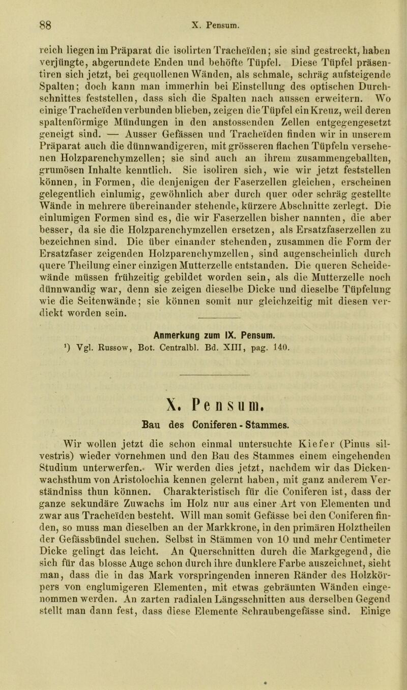 reich liegen im Präparat die isolirten Traclieiden; sie sind gestreckt, haben verjüngte, abgerundete Enden und behöfte Tüpfel. Diese Tüpfel präsen- tiren sich jetzt, bei gequollenen Wänden, als schmale, schräg aufsteigende Spalten; doch kann man immerhin bei Einstellung des optischen Durch- schnittes feststellen, dass sich die Spalten nach aussen erweitern. Wo einige Traclieiden verbunden blieben, zeigen dieTüpfel ein Kreuz, weil deren spaltenförmige Mündungen in den anstossenden Zellen entgegengesetzt geneigt sind. — Ausser Gefässen und Traclieiden finden wir in unserem Präparat auch die dünnwandigeren, mit grösseren flachen Tüpfeln versehe- nen Holzparenchymzellen; sie sind auch an ihrem zusammengeballten, grumösen Inhalte kenntlich. Sie isoliren sich, wie wir jetzt feststellen können, in Formen, die denjenigen der Faserzellen gleichen, erscheinen gelegentlich einlumig, gewöhnlich aber durch quer oder schräg gestellte Wände in mehrere übereinander stehende, kürzere Abschnitte zerlegt. Die einlumigen Formen sind es, die wir Faserzellen bisher nannten, die aber besser, da sie die Holzparenchymzellen ersetzen, als Ersatzfaserzellen zu bezeichnen sind. Die über einander stehenden, zusammen die Form der Ersatzfaser zeigenden Holzparenchymzellen, sind augenscheinlich durch quere Theilung einer einzigen Mutterzelle entstanden. Die queren Scheide- wände müssen frühzeitig gebildet worden sein, als die Mutterzelle noch dünnwandig war, denn sie zeigen dieselbe Dicke und dieselbe Tüpfelung wie die Seitenwände; sie können somit nur gleichzeitig mit diesen ver- dickt worden sein. Anmerkung zum IX. Pensum. ’) Vgl. Russow, Bot. Centralbl. Bd. XIII, pag. 140. X. Pe n sum. Sau des Coniferen - Stammes. Wir wollen jetzt die schon einmal untersuchte Kiefer (Pinus sil- vestris) wieder vornehmen und den Bau des Stammes einem eingehenden Studium unterwerfen.. Wir werden dies jetzt, nachdem wir das Dicken- wachsthum von Aristolochia kennen gelernt haben, mit ganz anderem Ver- ständniss thun können. Charakteristisch für die Coniferen ist, dass der ganze sekundäre Zuwachs im Holz nur aus einer Art von Elementen und zwar aus Tracheiden besteht. Will man somit Gefässe bei den Coniferen fin- den, so muss man dieselben an der Markkrone, in den primären Holztheilen der Gefässbündel suchen. Selbst in Stämmen von 10 und mehr Centimeter Dicke gelingt das leicht. An Querschnitten durch die Markgegend, die sich für das blosse Auge schon durch ihre dunklere Farbe auszeichnet, sieht man, dass die in das Mark vorspringenden inneren Ränder des Holzkör- pers von englumigeren Elementen, mit etwas gebräunten Wänden einge- nommen werden. An zarten radialen Längsschnitten aus derselben Gegend stellt man dann fest, dass diese Elemente Schraubengefässe sind. Einige