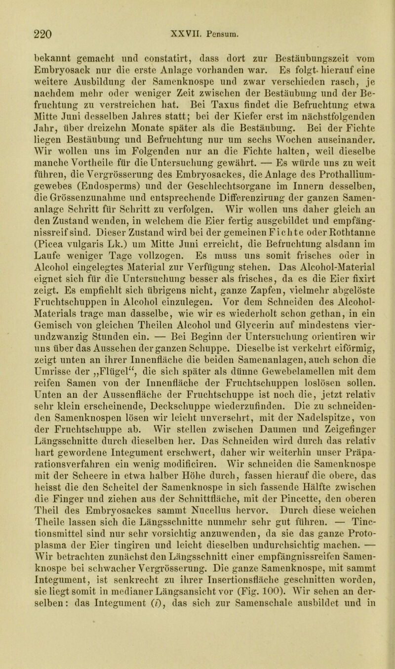 bekannt gemacht und constatirt, dass dort zur Bestäubungszeit vom Embryosack nur die erste Anlage vorhanden war. Es folgt- hierauf eine weitere Ausbildung der Samenknospe und zwar verschieden rasch, je nachdem mehr oder weniger Zeit zwischen der Bestäubung und der Be- fruchtung zu verstreichen hat. Bei Taxus findet die Befruchtung etwa Mitte Juni desselben Jahres statt; bei der Kiefer erst im nächstfolgenden Jahr, über dreizehn Monate später als die Bestäubung. Bei der Fichte liegen Bestäubung und Befruchtung nur um sechs Wochen auseinander. Wir wollen uns im Folgenden nur an die Fichte halten, weil dieselbe manche Vortheile für die Untersuchung gewährt. — Es würde uns zu weit führen, die Vergrösserung des Embryosackes, die Anlage des Prothallium- gewebes (Endosperms) und der Geschlechtsorgane im Innern desselben, die Grössenzunahme und entsprechende Differenzirung der ganzen Samen- anlage Schritt für Schritt zu verfolgen. Wir wollen uns daher gleich an den Zustand wenden, in welchem die Eier fertig ausgebildet und empfäng- nissreif sind. Dieser Zustand wird bei der gemeinen Fichte oder Rothtanne (Picea vulgaris Lk.) um Mitte Juni erreicht, die Befruchtung alsdann im Laufe weniger Tage vollzogen. Es muss uns somit frisches oder in Alcohol eingelegtes Material zur Verfügung stehen. Das Alcohol-Material eignet sich für die Untersuchung besser als frisches, da es die Eier fixirt zeigt. Es empfiehlt sich übrigens nicht, ganze Zapfen, vielmehr abgelöste Fruchtschuppen in Alcohol einzulegen. Vor dem Schneiden des Alcohol- Materials trage man dasselbe, wie wir es wiederholt schon gethan, in ein Gemisch von gleichen Theilen Alcohol und Glycerin auf mindestens vier- undzwanzig Stunden ein. — Bei Beginn der Untersuchung orientiren wir uns über das Aussehen der ganzen Schuppe. Dieselbe ist verkehrt eiförmig, zeigt unten an ihrer Innenfläche die beiden Samenanlagen, auch schon die Umrisse der ,,FlügeP^, die sich später als dünne Gewebelamellen mit dem reifen Samen von der Innenfläche der Fruchtschuppen loslösen sollen. Unten an der Aussenfläche der Fruchtschuppe ist noch die, jetzt relativ sehr klein erscheinende, Deckschuppe wiederzufinden. Die zu schneiden- den Samenknospen lösen wir leicht unversehrt, mit der Nadelspitze, von der Fruchtschuppe ab. Wir stellen zwischen Daumen und Zeigefinger Längsschnitte durch dieselben her. Das Schneiden wird durch das relativ hart gewordene Integument erschwert, daher wir weiterhin unser Präpa- rationsverfahren ein wenig modificiren. Wir schneiden die Samenknospe mit der Scheere in etwa halber Höhe durch, fassen hierauf die obere, das heisst die den Scheitel der Samenknospe in sich fassende Hälfte zwischen die Finger und ziehen aus der Schnittfläche, mit der Pincette, den oberen Theil des Embryosackes sammt Nucellus hervor. Durch diese weichen Theile lassen sich die Längsschnitte nunmehr sehr gut führen. — Tinc- tionsmittel sind nur sehr vorsichtig anzuwenden, da sie das ganze Proto- plasma der Eier tingiren und leicht dieselben undurchsichtig machen. — Wir betrachten zunächst den Längsschnitt einer empfängnissreifen Samen- knospe bei schwacher Vergrösserung. Die ganze Samenknospe, mit sammt Integument, ist senkrecht zu ihrer Insertionsfläche geschnitten worden, sie liegt somit in medianer Längsansicht vor (Fig. 100). Wir sehen an der- selben: das Integument (i), das sich zur Samenschale ausbildet und in