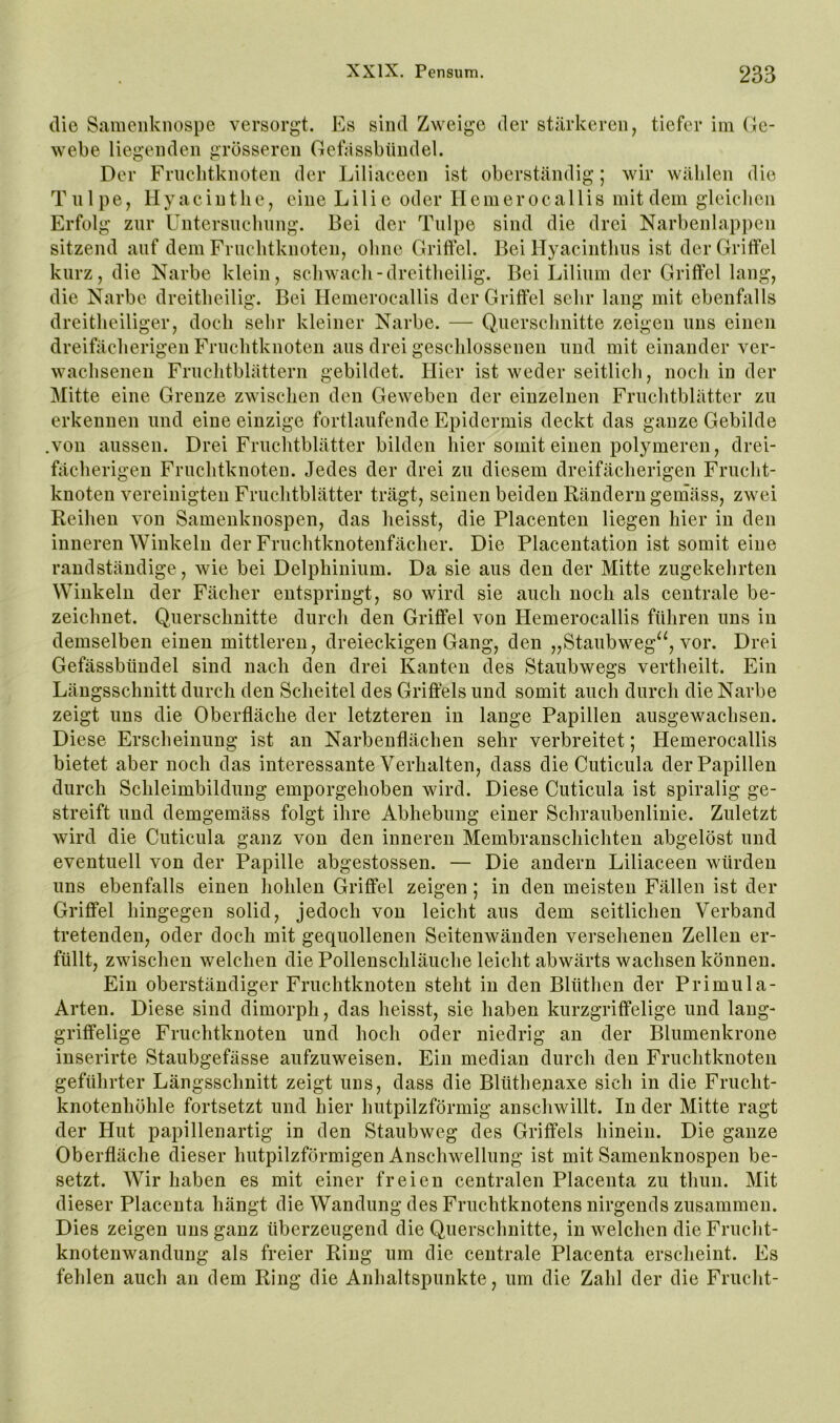 die Samenknospe versorgt. Es sind Zweige der stärkeren, tiefer im Ge- webe liegenden grösseren Gefässbündel. Der Friiclitknoten der Liliaeeen ist oberständig; wir wählen die T n 1 p e, H y ae i u t li e, eine L i 1 i e oder II e m e r o c a 11 i s mit dem gleichen Erfolg zur Untersnchiing. Bei der Tulpe sind die drei Narbenlappen sitzend auf dem Fruchtknoten, ohne Griffel. Bei Hyacinthiis ist der Griffel kurz, die Narbe klein, schwach-dreitheilig. Bei Lilium der Griffel lang, die Narbe dreitheilig. Bei Ilemerocallis der Griffel sehr lang mit ebenfalls dreitheiliger, doch sehr kleiner Narbe. — Querschnitte zeigen uns einen dreifächerigen Fruchtknoten aus drei geschlossenen und mit einander ver- wachsenen Fruchtblättern gebildet. Hier ist weder seitlich, noch in der Mitte eine Grenze zwischen den Geweben der einzelnen Fruchtblätter zu erkennen und eine einzige fortlaufende Epidermis deckt das ganze Gebilde .von aussen. Drei Fruchtblätter bilden hier somit einen polymeren, drei- fächerigen Fruchtknoten. Jedes der drei zu diesem dreifächerigen Frucht- knoten vereinigten Fruchtblätter trägt, seinen beiden Rändern gemäss, zwei Reihen von Samenknospen, das heisst, die Placenten liegen hier in den inneren Winkeln der Fruchtknotenfächer. Die Placentation ist somit eine randständige, wie bei Delphinium. Da sie aus den der Mitte zugekehrten Winkeln der Fächer entspringt, so wird sie auch noch als centrale be- zeichnet. Querschnitte durch den Griffel von Hemerocallis führen uns in demselben einen mittleren, dreieckigen Gang, den „Staubweg^^, vor. Drei Gefässbündel sind nach den drei Kanten des Staubwegs vertheilt. Ein Längsschnitt durch den Scheitel des Griffels und somit auch durch die Narbe zeigt uns die Oberfläche der letzteren in lange Papillen ausgewachsen. Diese Erscheinung ist an Narbenflächen sehr verbreitet; Hemerocallis bietet aber noch das interessante Verhalten, dass die Cuticula der Papillen durch Schleimbildung emporgehoben wird. Diese Cuticula ist spiralig ge- streift und demgemäss folgt ihre Abhebung einer Schraubenlinie. Zuletzt wird die Cuticula ganz von den inneren Membranschichten abgelöst und eventuell von der Papille abgestossen. — Die andern Liliaeeen würden uns ebenfalls einen hohlen Griffel zeigen; in den meisten Fällen ist der Griffel hingegen solid, jedoch von leicht aus dem seitlichen Verband tretenden, oder doch mit gequollenen Seitenwänden versehenen Zellen er- füllt, zwischen welchen die Pollenschläuche leicht abwärts wachsen können. Ein oberständiger Fruchtknoten steht in den Blüthen der Primula- Arten. Diese sind dimorph, das heisst, sie haben kurzgriffelige und lang- griffelige Fruchtknoten und hoch oder niedrig an der Blumenkrone inserirte Staubgefässe aufzuweisen. Ein median durch den Fruchtknoten geführter Längsschnitt zeigt uns, dass die Blüthenaxe sich in die Frucht- knotenhöhle fortsetzt und hier hutpilzförmig anschwillt. In der Mitte ragt der Hut papillenartig in den Staubweg des Griffels hinein. Die ganze Oberfläche dieser hutpilzförmigen Anschwellung ist mit Samenknospen be- setzt. Wir haben es mit einer freien centralen Placenta zu thun. Mit dieser Placenta hängt die Wandung des Fruchtknotens nirgends zusammen. Dies zeigen uns ganz überzeugend die Querschnitte, in welchen die Frucht- knotenwandung als freier Ring um die centrale Placenta erscheint. Es fehlen auch an dem Ring die Anhaltspunkte, um die Zahl der die Frucht-