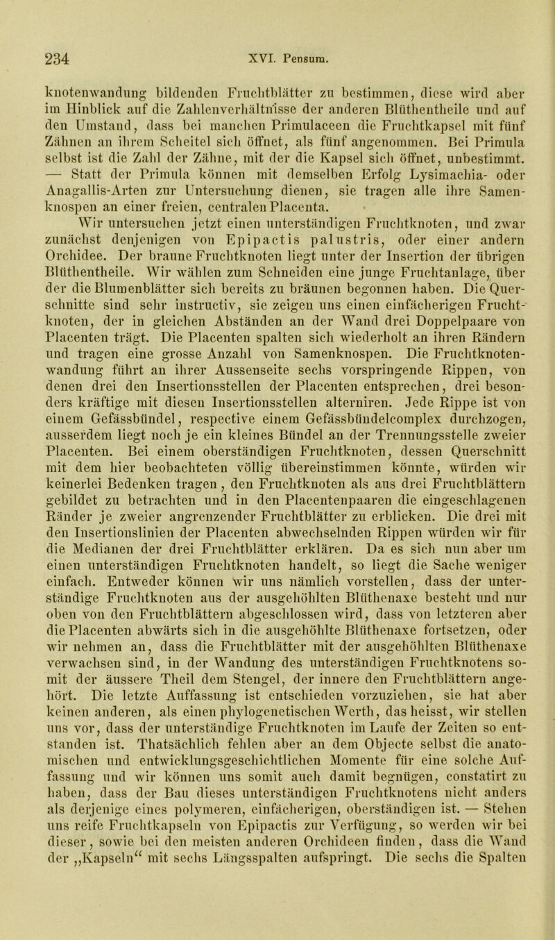 knotenwaiKlung bilcleiulen Frnclitl)lätter zu bestimmen, diese wird aber im Hinblick auf die Zahlenverliältnisse der anderen Blütlieiitheile und auf den Umstand, dass bei manclien Primulaceen die Fruclitkapsel mit fünf Zähnen an ihrem Scheitel sich öffnet, als fünf angenommen. Bei Primula selbst ist die Zahl der Zähne, mit der die Kapsel sich öffnet, unbestimmt. — Statt der Primula können mit demselben Erfolg Lysimachia- oder Anagallis-Arten zur Untersuchung dienen, sie tragen alle ihre Samen- knospen an einer freien, centralen Placenta. Wir untersuchen jetzt einen unterständigen Fruchtknoten, und zwar zunächst denjenigen von Epipactis palustris, oder einer andern Orchidee. Der braune Fruchtknoten liegt unter der Insertion der übrigen Blüthentheile. Wir wählen zum Schneiden eine junge Fruchtanlage, über der die Blumenblätter sich bereits zu bräunen begonnen haben. Die Quer- schnitte sind sehr instructiv, sie zeigen uns einen einfächerigen Frucht- knoten, der in gleichen Abständen an der Wand drei Doppelpaare von Placenten trägt. Die Placenten spalten sich wiederholt an ihren Rändern und tragen eine grosse Anzahl von Samenknospen. Die Fruchtknoten- wandung führt an ihrer Aussenseite sechs vorspringende Rippen, von denen drei den Insertionsstellen der Placenten entsprechen, drei beson- ders kräftige mit diesen Insertionsstellen alterniren. Jede Rippe ist von einem Gefässbündel, respective einem Gefässbündelcomplex durchzogen, ausserdem liegt noch je ein kleines Bündel an der Trennungsstelle zweier Placenten. Bei einem oberständigen Fruchtknoten, dessen Querschnitt mit dem hier beobachteten völlig übereinstimmen könnte, würden wir keinerlei Bedenken tragen , den Fruchtknoten als aus drei Fruchtblättern gebildet zu betrachten und in den Placentenpaaren die eingeschlagenen Ränder je zweier angrenzender Fruchtblätter zu erblicken. Die drei mit den Insertionslinien der Placenten abwechselnden Rippen würden wir für die Medianen der drei Fruchtblätter erklären. Da es sich nun aber um einen unterständigen Fruchtknoten handelt, so liegt die Sache weniger einfach. Entweder können wir uns nämlich vorstellen, dass der unter- ständige Fruchtknoten aus der ausgehöhlten Blüthenaxe besteht und nur oben von den Fruchtblättern abgeschlossen wird, dass von letzteren aber die Placenten abwärts sich in die ausgehöhlte Blüthenaxe fortsetzen, oder wir nehmen an, dass die Fruchtblätter mit der ausgehöhlten Blüthenaxe verwachsen sind, in der Wandung des unterständigen Fruchtknotens so- mit der äussere Theil dem Stengel, der innere den Fruchtblättern ange- hört. Die letzte Auffassung ist entschieden vorzuziehen, sie hat aber keinen anderen, als einen phylogenetischen Werth, das heisst, wir stellen uns vor, dass der unterständige Fruchtknoten im Laufe der Zeiten so ent- standen ist. Thatsächlich fehlen aber an dem Objecte selbst die anato- mischen und entwicklungsgeschichtlichen Momente für eine solche Auf- fassung und wir können uns somit auch damit begnügen, constatirt zu haben, dass der Bau dieses unterständigen Fruchtknotens nicht anders als derjenige eines polymeren, einhicherigen, oberständigen ist. — Stehen uns reife Fruchtkapseln von Epipactis zur Verfügung, so werden wir bei dieser, sowie bei den meisten anderen Orchideen finden, dass die Wand der ,,Kapseln“ mit sechs Längsspalten aufspringt. Die sechs die Spalten