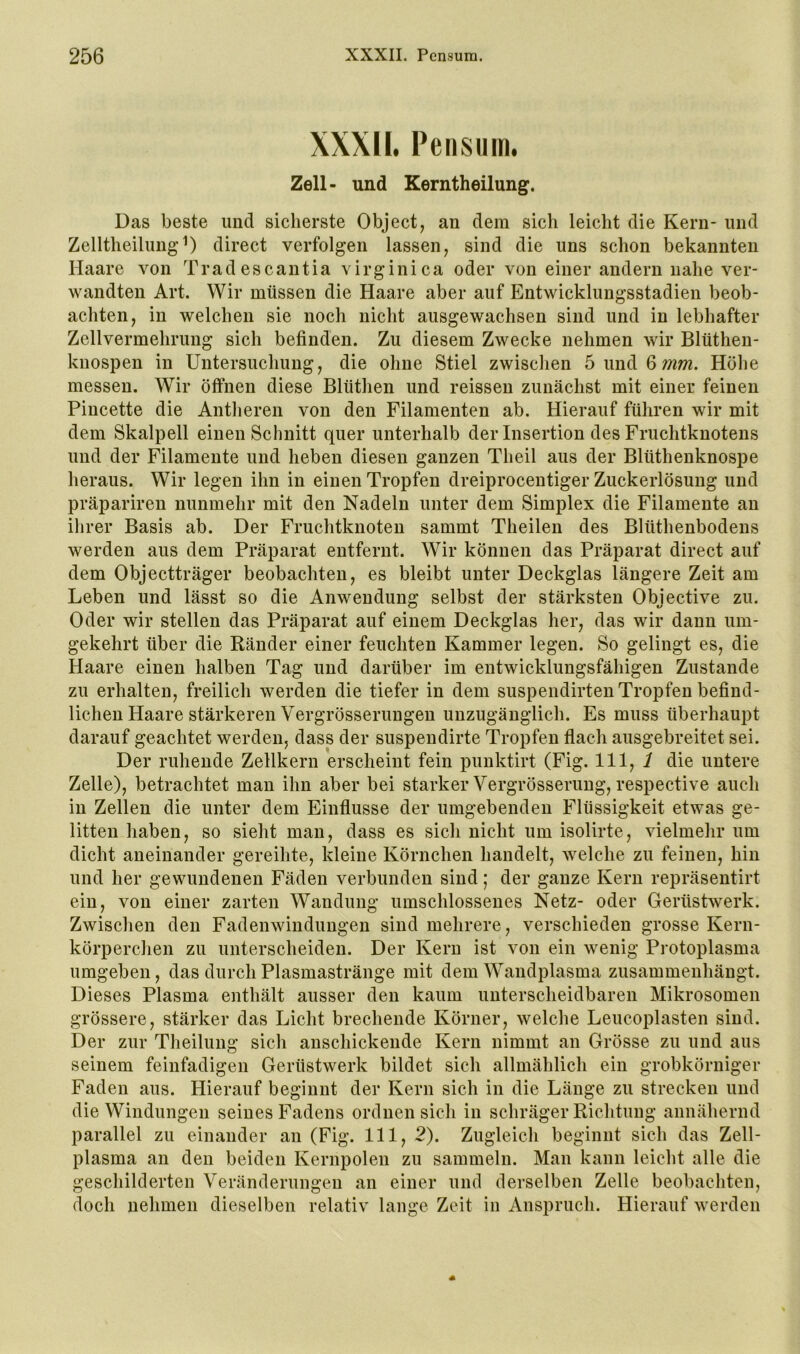 XXXIL Pensum. Zell- und Kerntheilung. Das beste und sicherste Object, an dem sich leicht die Kern- und ZelltheilungO direct verfolgen lassen, sind die uns schon bekannten Haare von Tradescantia virginica oder von einer andern nahe ver- wandten Art. Wir müssen die Haare aber auf Entwicklungsstadien beob- achten, in welchen sie noch nicht ausgewachsen sind und in lebhafter Zellvermehrung sich befinden. Zu diesem Zwecke nehmen wir Blüthen- knospen in Untersuchung, die ohne Stiel zwischen b & mm. Höhe messen. Wir öffnen diese Bliithen und reissen zunächst mit einer feinen Pincette die Antheren von den Filamenten ab. Hierauf führen wir mit dem Skalpell einen Schnitt quer unterhalb der Insertion des Fruchtknotens und der Filamente und heben diesen ganzen Tlieil aus der Blüthenknospe heraus. Wir legen ihn in einen Tropfen dreiprocentiger Zuckerlösung und präpariren nunmehr mit den Nadeln unter dem Simplex die Filamente an ilirer Basis ab. Der Fruchtknoten sammt Theilen des Blüthenbodens werden aus dem Präparat entfernt. Wir können das Präparat direct auf dem Objectträger beobachten, es bleibt unter Deckglas längere Zeit am Leben und lässt so die Anwendung selbst der stärksten Objective zu. Oder wir stellen das Präparat auf einem Deckglas her, das wir dann um- gekehrt über die Ränder einer feuchten Kammer legen. So gelingt es, die Haare einen halben Tag und darüber im entwicklungsfähigen Zustande zu erhalten, freilich werden die tiefer in dem suspendirten Tropfen befind- lichen Haare stärkeren Vergrösserungen unzugänglich. Es muss überhaupt darauf geachtet werden, dass der suspendirte Tropfen flach ausgebreitet sei. Der ruhende Zellkern erscheint fein punktirt (Fig. 111, i die untere Zelle), betrachtet man ihn aber bei starker Vergrösserung, respective auch in Zellen die unter dem Einflüsse der umgebenden Flüssigkeit etwas ge- litten iiaben, so sieht man, dass es sich nicht um isolirte, vielmehr um dicht aneinander gereihte, kleine Körnchen handelt, welche zu feinen, hin und her gewundenen Fäden verbunden sind; der ganze Kern repräsentirt ein, von einer zarten Wandung umschlossenes Netz- oder Gerüstwerk. Zwisclien den Fadenwindungen sind mehrere, verschieden grosse Kern- körperclien zu unterscheiden. Der Kern ist von ein wenig Protoplasma umgeben, das durch Plasmastränge mit dem Wandplasma zusammenhängt. Dieses Plasma enthält ausser den kaum unterscheidbaren Mikrosomen grössere, stärker das Licht brechende Körner, welche Leucoplasten sind. Der zur Theilung sich anschickeiide Kern nimmt an Grösse zu und aus seinem feinfadigen Gerüstwerk bildet sich allmählich ein grobkörniger Faden aus. Hierauf beginnt der Kern sich in die Länge zu strecken und die Windungen seines Fadens ordnen sich in schräger Riclitung annähernd parallel zu einander an (Fig. 111, 2). Zugleich beginnt sich das Zell- plasma an den beiden Kernpolen zu sammeln. Man kann leicht alle die geschilderten Veränderungen an einer und derselben Zelle beobachten, doch nehmen dieselben relativ lange Zeit in Anspruch. Hierauf werden