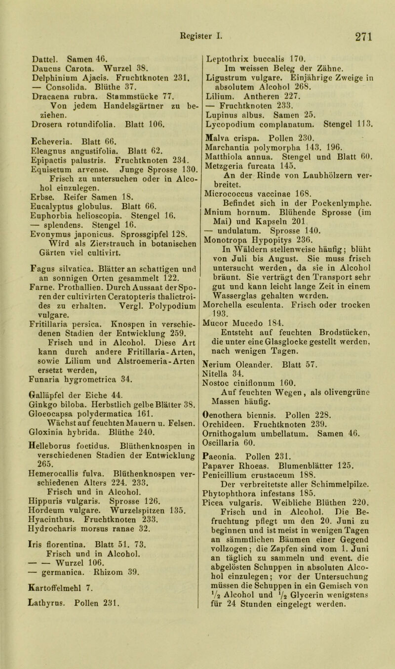 Dattel. Samen 46. Daucus Carota. Wurzel 38. Delphinium Ajacis. Fruchtknoten 231. — Consolida. Blüthe 37. Dracaena rubra. Stammstücke 77. Von jedem Handelsgärtner zu be- ziehen. Drosera rotundifolia. Blatt 106. Echeveria. Blatt 66. Eleagnus angustifolia. Blatt 62. Epipactis palustris. Fruchtknoten 234. Equisetum arvense. Junge Sprosse 130. Frisch zu untersuchen oder in Alco- hol einzulegen. Erbse. Reifer Samen 18. Eucalyptus globulus. Blatt 66. Euphorbia helioscopia. Stengel 16. — splendens. Stengel 16. Evonymus japonicus. Sprossgipfel 128. Wird als Zierstrauch in botanischen Gärten viel cultivirt. Fagus silvatica. Blätter an schattigen und an sonnigen Orten gesammelt 122. Farne. Prothallien. Durch Aussaat der Spo- ren der cultivirtenCeratopteris thalictroi- des zu erhalten. Vergl. Polypodium vulgare. Fritillaria persica. Knospen in verschie- denen Stadien der Entwicklung 259. Frisch und in Alcohol. Diese Art kann durch andere Fritillaria-Arten, sowie Lilium und Alstroemeria-Arten ersetzt werden, Funaria hygrometrica 34. Galläpfel der Eiche 44. Ginkgo biloba. Herbstlich gelbe Blätter 38. Gloeocapsa polydermatica 161. Wächst auf feuchten Mauern u. Felsen. Gloxinia hybrida. Blüthe 240. Helleborus foetidus. Blüthenknospen in verschiedenen Stadien der Entwicklung 265. Hemerocallis fulva. Blüthenknospen ver- schiedenen Alters 224. 233. Frisch und in Alcohol. Hippuris vulgaris. Sprosse 126. Hordeum vulgare. Wurzelspitzen 135. Hyacinthus. Fruchtknoten 233. Hydrocharis morsus ranae 32. Iris florentina. Blatt 51. 73. Frisch und in Alcohol. Wurzel 106. — germanica. Rhizom 39. Kartoffelmehl 7. Latbyrus. Pollen 231. Leptothrix buccalis 170. Im weissen Beleg der Zähne. Ligustrum vulgare. Einjährige Zweige in absolutem Alcohol 268. Lilium. Antheren 227. — Fruchtknoten 233. Lupinus albus. Samen 25. Lycopodium complanatum. Stengel 113. Malva crispa. Pollen 230. Marchantia polymorpha 143. 196. Matthiola annua. Stengel und Blatt 60. Metzgeria furcata 145. An der Rinde von Laubhölzern ver- breitet. Micrococcus vaccinae 168. Befindet sich in der Pockenlymphe. Mnium hornum. Blühende Sprosse (im Mai) und Kapseln 201 — undulatum. Sprosse 140. Monotropa Hypopitys 236. In Wäldern stellenweise häufig; blüht von Juli bis August. Sie muss frisch untersucht werden, da sie in Alcohol bräunt. Sie verträgt den Transport sehr gut und kann leicht lange Zeit in einem Wasserglas gehalten werden. Morchella esculenta. Frisch oder trocken 193. Mucor Mucedo 184. Entsteht auf feuchten Brodstücken, die unter eine Glasglocke gestellt werden, nach wenigen Tagen. Nerium Oleander. Blatt 57. Nitella 34. Nostoc ciniflonum 160. Auf feuchten Wegen, als olivengrüne Massen häufig. Oenothera biennis. Pollen 228. Orchideen. Fruchtknoten 239. Ornithogalum umbellatum. Samen 46. Oscillaria 60. Paeonia. Pollen 231. Papaver Rhoeas. Blumenblätter 125. Penicillium crustaceum 188. Der verbreitetste aller Schimmelpilze. Phytophthora infestans 185. Picea vulgaris. Weibliche Blüthen 220. Frisch und in Alcohol. Die Be- fruchtung pflegt um den 20. Juni zu beginnen und ist meist in wenigen Tagen an sämmtlichen Bäumen einer Gegend vollzogen; die Zapfen sind vom 1. Juni an täglich zu sammeln und event. die abgelösten Schuppen in absoluten Alco- hol einzulegen; vor der Untersuchung müssen die Schuppen in ein Gemisch von Va Alcohol und 72 Glycerin wenigstens für 24 Stunden eingelegt werden.