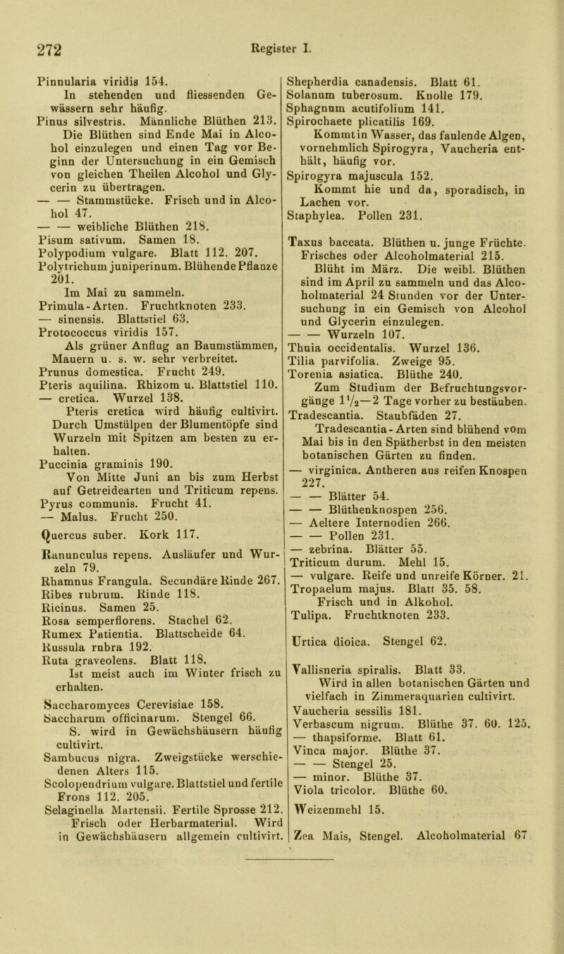 Pinnularia viridis 154. In stehenden und fliessenden Ge- wässern sehr häufig. Pinus silvestris. Männliche Blüthen 213. Die Blüthen sind Ende Mai in Alco- hol einzulegen und einen Tag vor Be- ginn der Untersuchung in ein Gemisch von gleichen Theilen Alcohol und Gly- cerin zu übertragen. — — Stammstücke. Frisch und in Alco- hol 47. — — weibliche Blüthen 218. Pisum sativum. Samen 18. Polypodium vulgare. Blatt 112. 207. Polytrichum juniperinum. Blühende Pflanze 201. Im Mai zu sammeln. Primula-Arten. Fruchtknoten 233. — sinensis. Blattstiel 63. Protococcus viridis 157. Als grüner Anflug an Baumstämmen, Mauern u. s. w. sehr verbreitet. Prunus domestica. Frucht 249. Pteris aquilina. Rhizom u. Blattstiel 110. — cretica. Wurzel 138. Pteris cretica wird häufig cultivirt. Durch ümstülpen der Blumentöpfe sind Wurzeln mit Spitzen am besten zu er- halten. Puccinia graminis 190. Von Mitte Juni an bis zum Herbst auf Getreidearten und Triticum repens. Pyrus communis. Frucht 41. — Malus. Frucht 250. Quercus suber. Kork 117. Ranunculus repens. Ausläufer und Wur- zeln 79. Rhamnus Frangula. Secundäre Kinde 267. Ribes rubrum. Rinde 118. Ricinus. Samen 25. Rosa semperflorens. Stachel 62. Rumex Patientia. Blattscheide 64. Russula rubra 192. Ruta graveolens. Blatt 118. Ist meist auch im Winter frisch zu erhalten. Saccharomyces Cerevisiae 158. Saccharum officinarum. Stengel 66. S. wird in Gewächshäusern häufig cultivirt. Sambucus nigra. Zweigstücke werschie- denen Alters 115. Scolopendrium vulgare. Blattstiel und fertile Frons 112. 205. Selaginella Martensii. Fertile Sprosse 212. Frisch oder Herbarmaterial. Wird in Gewächsbüuseru allgemein cultivirt. Shepherdia canadensis. Blatt 61. Solanum tuberosum. Knolle 179. Sphagnum acutifolium 141. Spirochaete plicatilis 169. Kommt in Wasser, das faulende Algen, vornehmlich Spirogyra, Vaucheria ent- hält, häufig vor. Spirogyra majuscula 152. Kommt hie und da, sporadisch, in Lachen vor. Staphylea. Pollen 231. Taxus baccata. Blüthen u. junge Früchte, Frisches oder Alcoholmaterial 215. Blüht im März. Die weibl. Blüthen sind im April zu sammeln und das Alco- holmaterial 24 Stunden vor der Unter- suchung in ein Gemisch von Alcohol und Glycerin einzulegen. — — Wurzeln 107. Thuia occidentalis. Wurzel 136. Tilia parvifolia. Zweige 95. Torenia asiatica. Blüthe 240. Zum Studium der Befruchtungsvor- gänge 1 Va—2 Tage vorher zu bestäuben. Tradescantia. Staubfäden 27. Tradescantia-Arten sind blühend vOm Mai bis in den Spätherbst in den meisten botanischen Gärten zu finden. — virginica. Antheren aus reifen Knospen 227. — — Blätter 54. — — Blüthenknospen 256. — Aeltere Internodien 266. Pollen 231. — zebrina. Blätter 55. Triticum durum. Mehl 15. — vulgare. Reife und unreife Körner. 21. Tropaelum majus. Blatt 35. 58. Frisch und in Alkohol. Tulipa. Fruchtknoten 233. Urtica dioica. Stengel 62. Vallisneria spiralis. Blatt 33. Wird in allen botanischen Gärten und vielfach in Zimmeraquarien cultivirt. Vaucheria sessilis 181. Verbascum nigruni. Blüthe 37. 60. 125. — thapsiforme. Blatt 61. Vinca major. Blüthe 37. — — Stengel 25. — minor. Blüthe 37. Viola tricolor. Blüthe 60. Weizenmehl 15. Zea Mais, Stengel. Alcoholmaterial 67