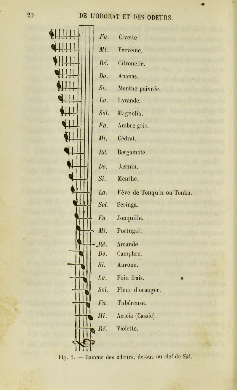 Civelte. Verveine. Cilronelle. Ananas. Menthe poivrée. Iavande. Magnolia. Ambre gris. Cédrat. Bergamote. Jasmin. Menthe. Fève de Tonquin ou Tonka. Seringa. Jonquille. Portugal. Amande. Camphre. Aurone. Foin frais. • Fleur d’oranger. Tubéreuse. Acacia (Cassie). Violette. odeurs, dessus ou elcf de Sol.