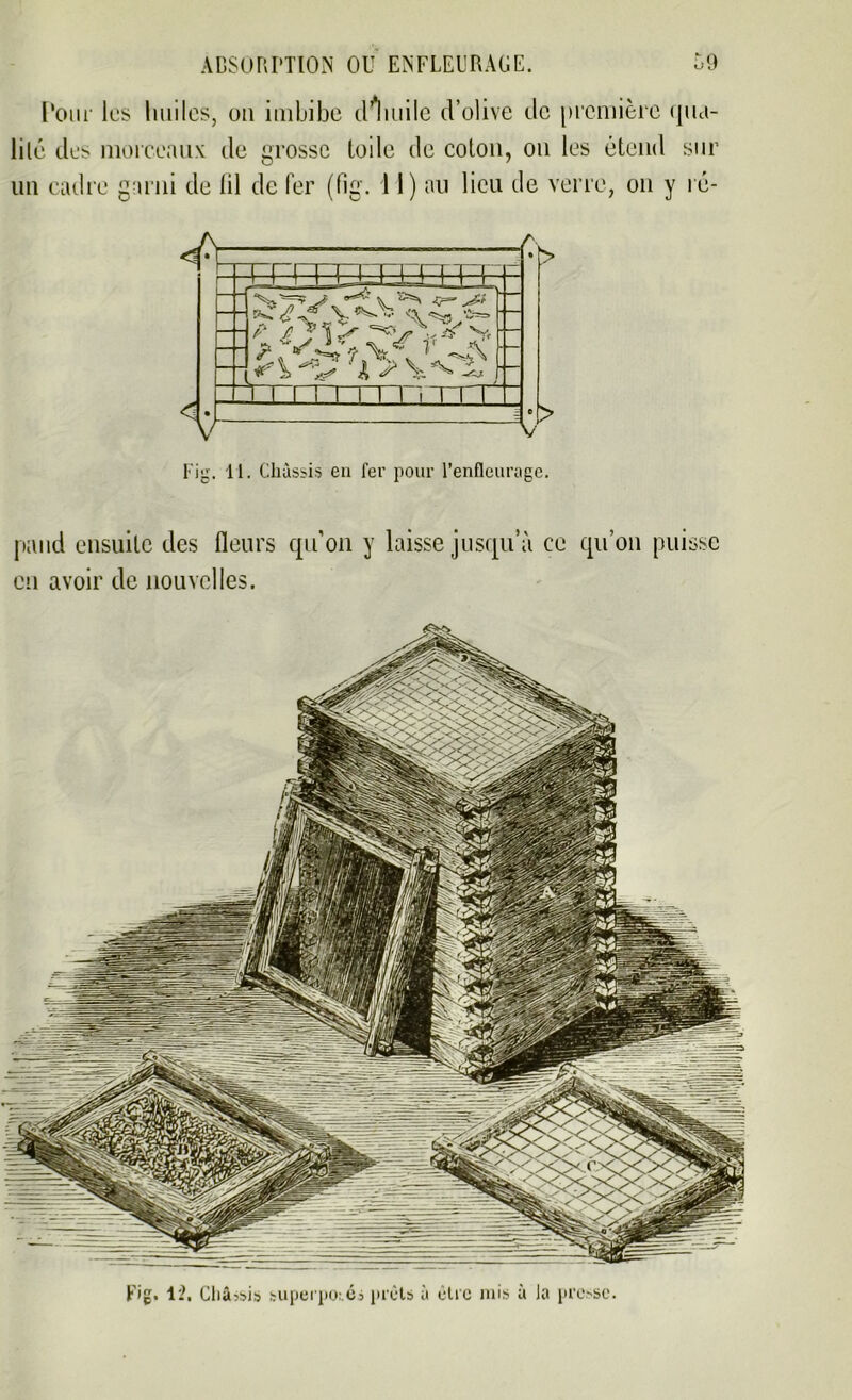 Pour les hui les, ou imbibe illmilc d’olive de première qua- lité des morceaux de grosse toile de coton, on les étend sur un cadre garni de lil de fer (fîg. 11) au lieu de verre, on y ré- pand ensuite des fleurs qu’on y laisse jusqu’à ce qu’on puisse eu avoir de nouvelles.