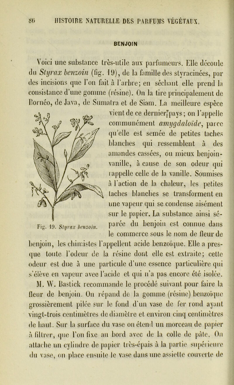 BENJOIN Voici une substance très-utile aux parfumeurs. Elle découle du Styrax benzoin (fig. 19), de la famille des styracinées, par des incisions que l’on fait à l’arbre; en séchant elle prend la consistance d’une gomme (lésine). On la tire principalement de Bornéo, de Java, de Sumatra et de Siam. La meilleure espèce vient de ce dernier*pays ; on l’appelle communément amygdaloïde, parce qu’elle est semée de petites taches blanches qui ressemblent à des amandes cassées, ou mieux benjoin- vanille, à cause de son odeur qui i appelle celle de la vanille. Soumises à l’action de la chaleur, les petites taches blanches se transforment en une vapeur qui se condense aisément sur le papier. La substance ainsi sé- parée du benjoin est connue dans le commerce sous le nom de fleur de benjoin, les chimistes l’appellent acide benzoïque. Elle a pres- que toute l’odeur de la résine dont elle est extraite; cette odeur est due à une particule d’une essence particulière qui s’élève en vapeur avec l’acide et qui n’a pas encore été isolée. M. W. Bastick recommande le procédé suivant pour Elire la Heur de benjoin. On répand de la gomme (résine) benzoïque grossièrement pilée sur le fond d'un vase de fer rond ayant vingt-trois centimètres de diamètre et environ cinq centimètres de haut. Sur la surface du vase on étend un morceau de papier à filtrer, que l’on fixe au bord avec de la colle de pâte. On attache un cylindre de papier très-épais à la partie supérieure du vase, on place ensuite le vase dans une assiette couverte de 19. Styrax benzoin.