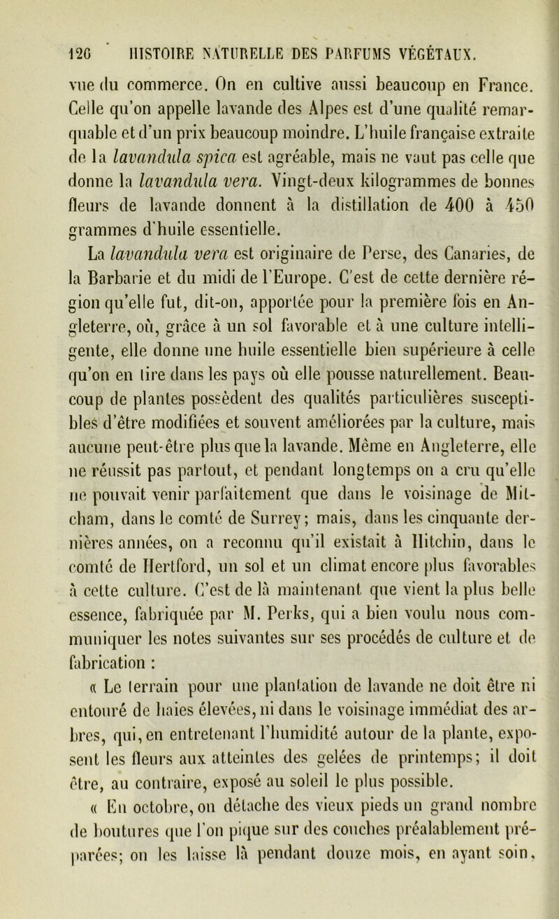 vue du commerce. On en cultive aussi beaucoup en France. Celle qu’on appelle lavande des Alpes est d’une qualité remar- quable et d’un prix beaucoup moindre. L’huile française extraite de la lavanclida spica est agréable, mais ne vaut pas celle que donne la lavandula vera. Vingt-deux kilogrammes de bonnes fleurs de lavande donnent à la distillation de 400 à 450 grammes d'huile essentielle. La lavandula vera est originaire de Perse, des Canaries, de la Barbarie et du midi de l’Europe. C'est de cette dernière ré- gion qu’elle fut, dit-on, apportée pour la première fois en An- gleterre, où, grâce à un sol favorable et à une culture intelli- gente, elle donne une huile essentielle bien supérieure à celle qu’on en tire dans les pays où elle pousse naturellement. Beau- coup de plantes possèdent des qualités particulières suscepti- bles d’être modifiées et souvent améliorées par la culture, mais aucune peut-être plus que la lavande. Même en Angleterre, elle 11e réussit pas partout, et pendant longtemps on a cru qu’elle ne pouvait venir parfaitement que dans le voisinage de Mil- cham, dans le comté de Surrey ; mais, dans les cinquante der- nières années, on a reconnu qu’il existait à Ilitchin, dans le comté de Hertford, un sol et un climat encore plus favorables à cette culture. C’est de là maintenant que vient la plus belle essence, fabriquée par M. Perks, qui a bien voulu nous com- muniquer les notes suivantes sur ses procédés de culture et de fabrication : « Le terrain pour une plantation de lavande ne doit être ni entouré de haies élevées, ni dans le voisinage immédiat des ar- bres, qui, en entretenant l’humidité autour de la plante, expo- sent les fleurs aux atteintes des gelées de printemps; il doit être, au contraire, exposé au soleil le plus possible. « En octobre, on détache des vieux pieds un grand nombre de boutures (pie l’on pique sur des couches préalablement pré- parées; on les laisse là pendant douze mois, en ayant soin,