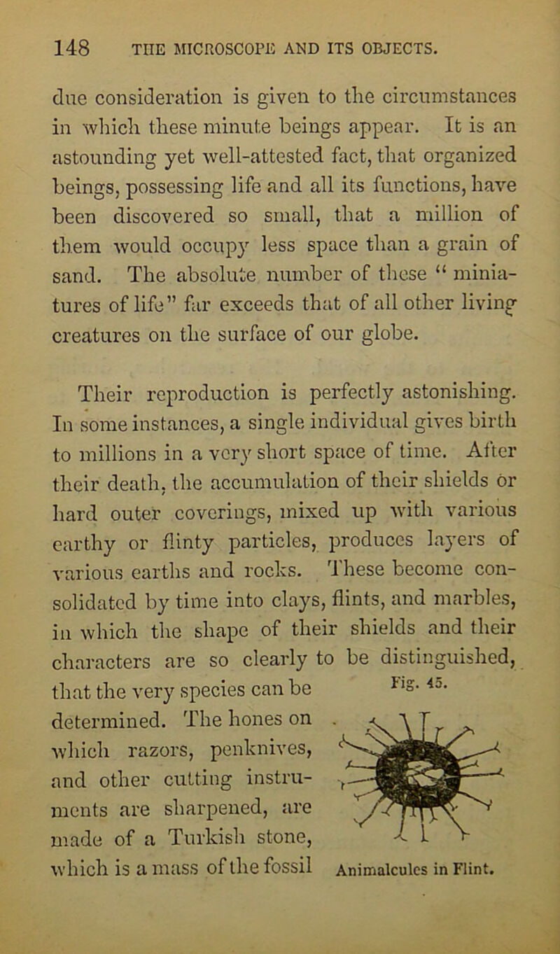 due consideration is given to the circumstances in which these minute beings appear. It is an astounding yet well-attested fact, that organized beings, possessing life and all its functions, have been discovered so small, that a million of them would occupy less space than a grain of sand. The absolute number of these “ minia- tures of life” far exceeds that of all other living creatures on the surface of our globe. Their reproduction is perfectly astonishing. In some instances, a single individual gives birth to millions in a very short space of time. Alter their death, the accumulation of their shields or hard outer coverings, mixed up with various earthy or flinty particles, produces layers of various earths and rocks. These become con- solidated by time into clays, flints, and marbles, iu which the shape of their shields and their characters are so clearly to be distinguished, that the very species can be lls-i5- determined. The hones on . which razors, penknives, and other cutting instru- ments are sharpened, are made of a Turkish stone, which is a mass of the fossil Animalcules in Flint.
